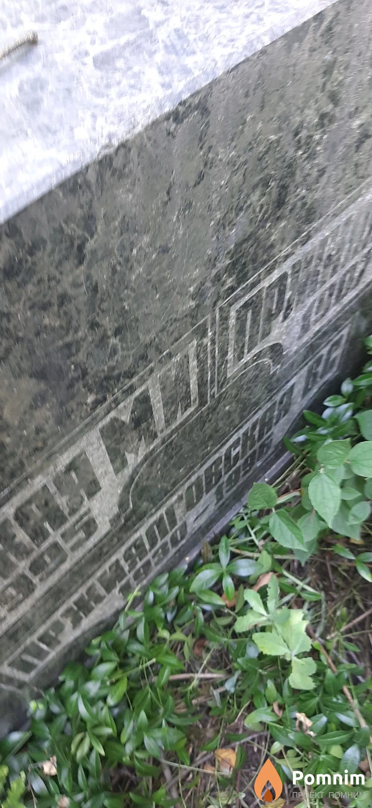 Прижиялговская В. С.