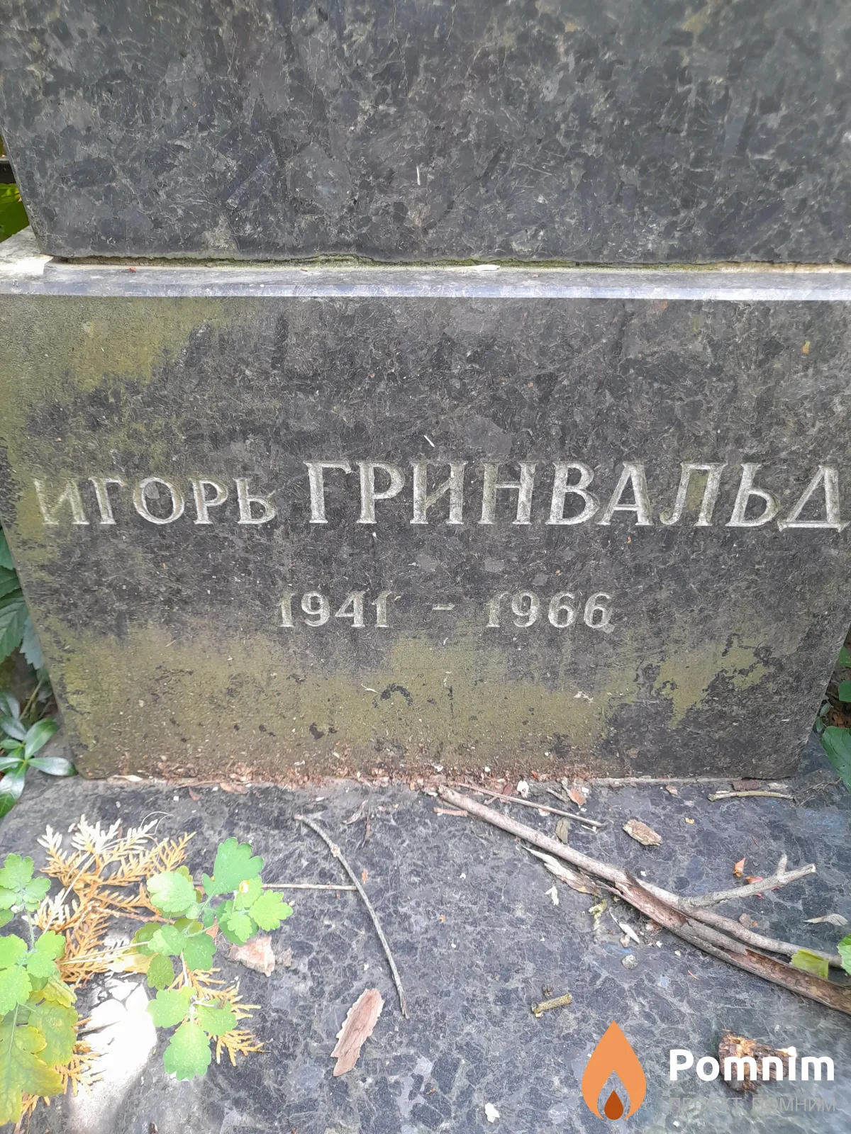 Гринвальд Игорь