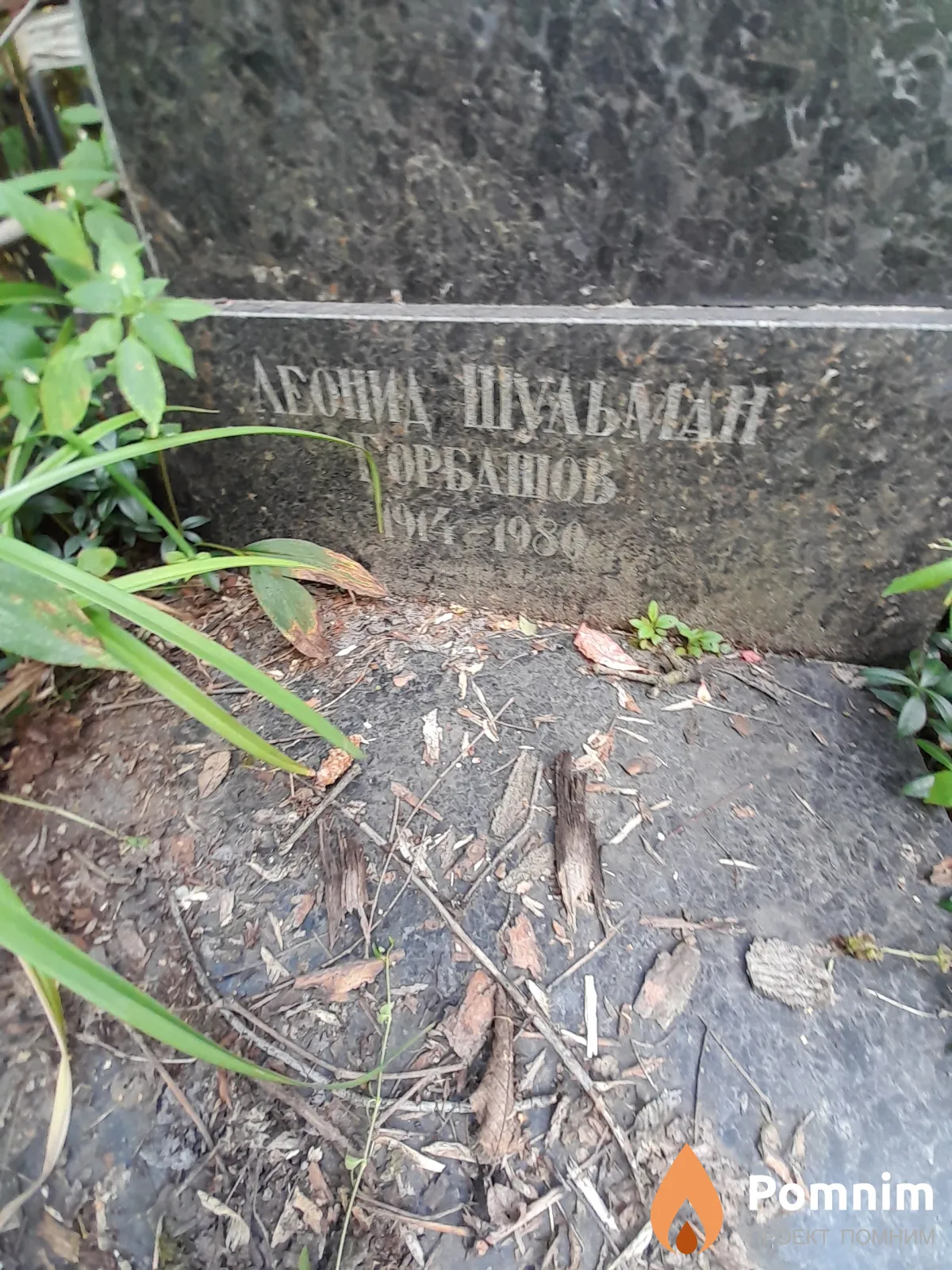 Шульман Леонид Гарбашов
