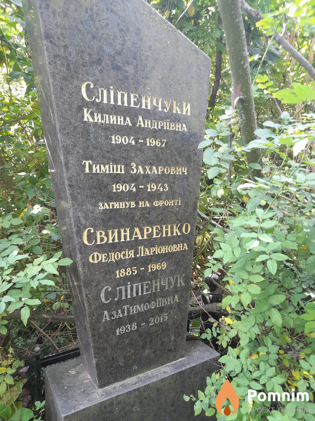 Слипенчук Калина Андреевна