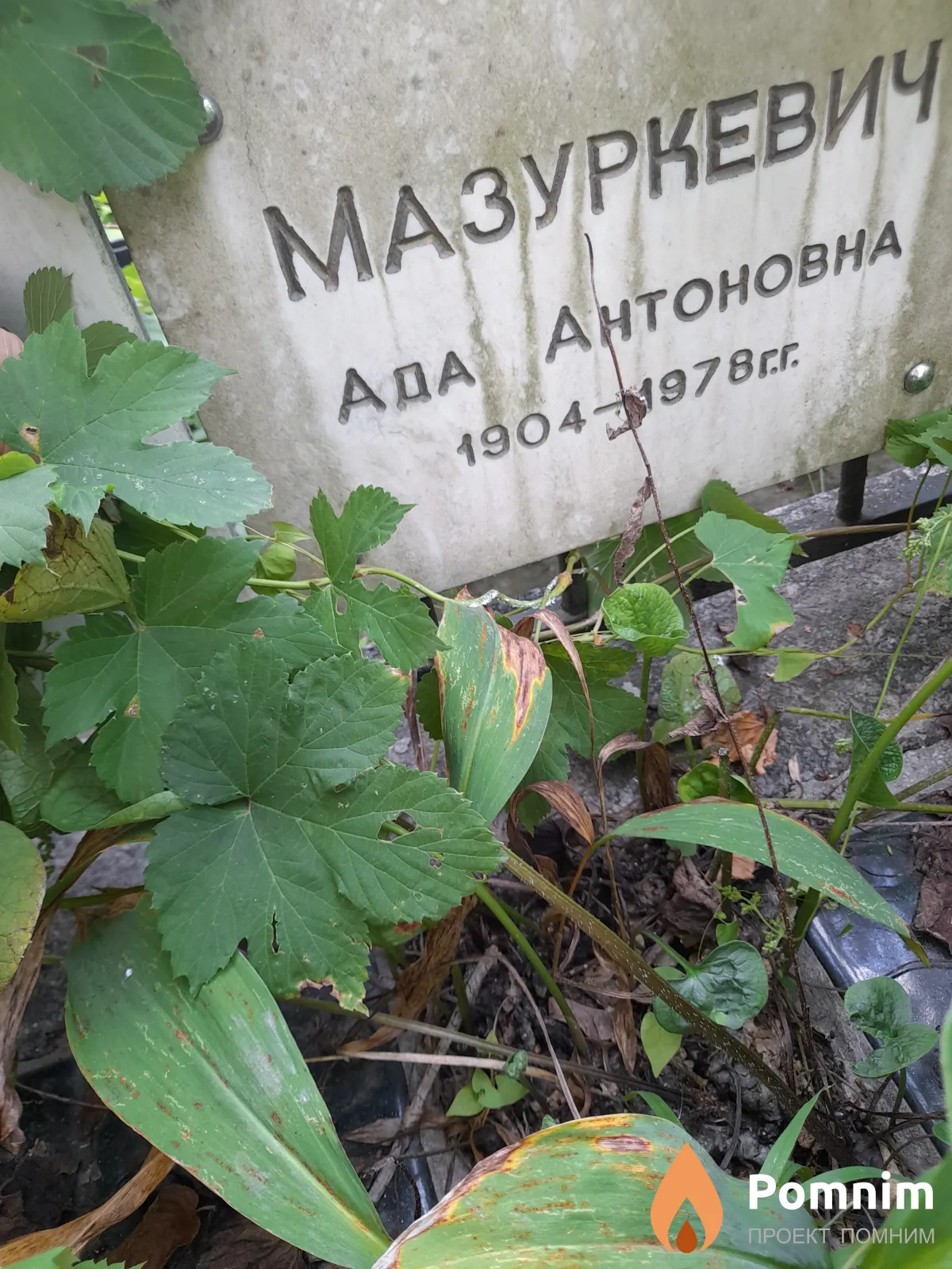 Мазуркевич Ада Антоновна