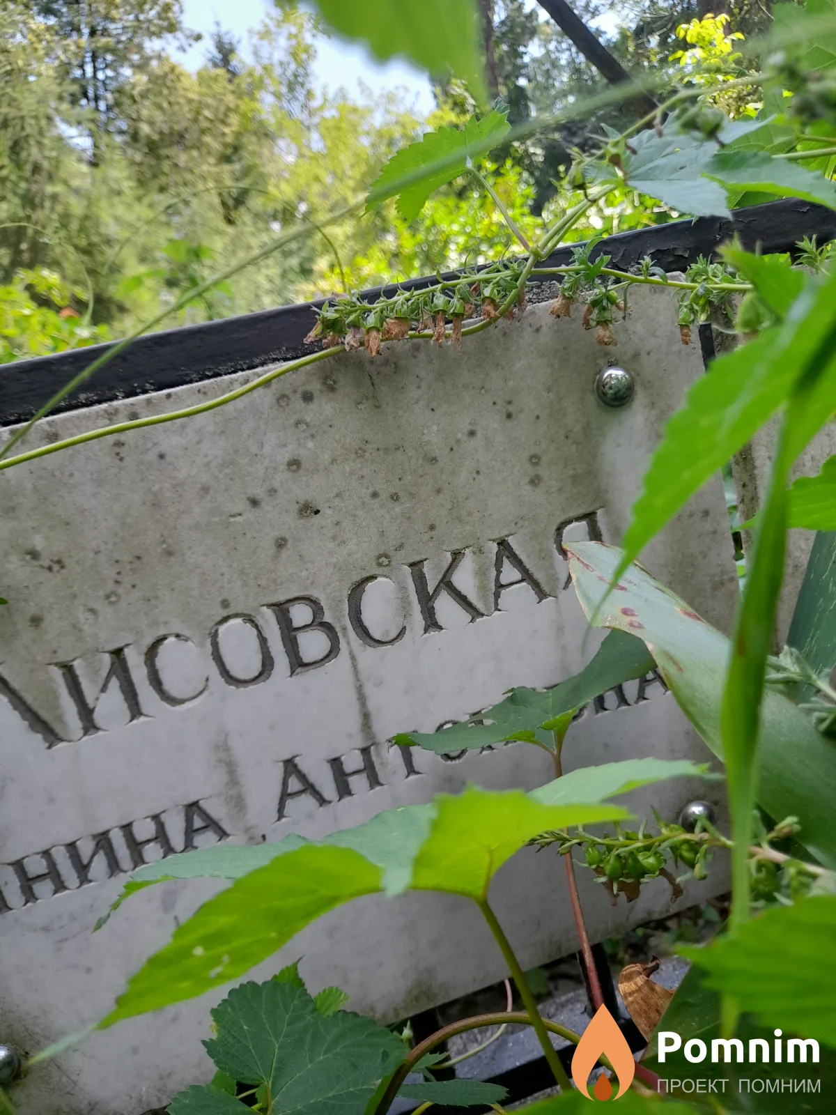 Лисовска Янина Антоновна