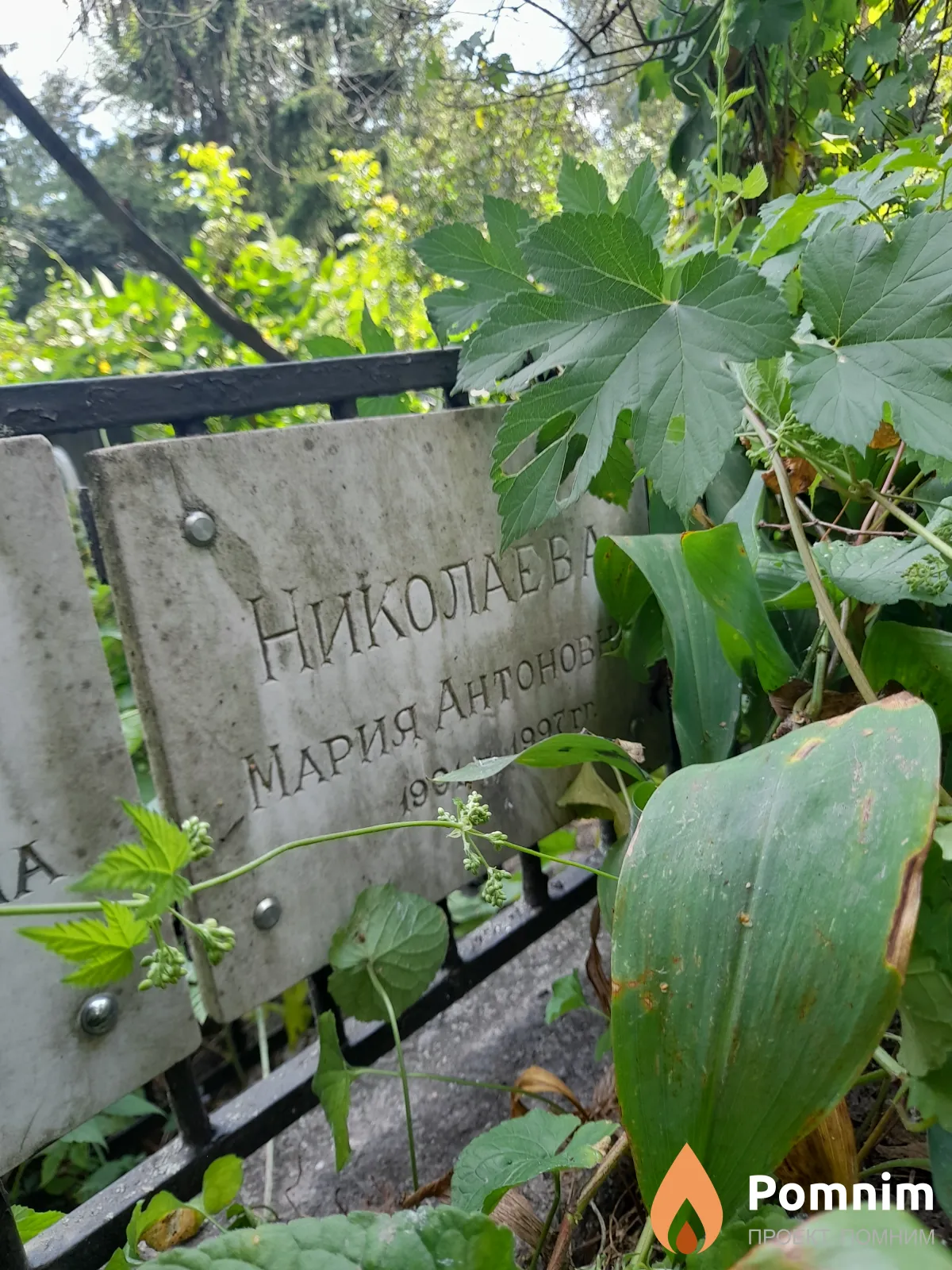 Николаев Мария Антоновна