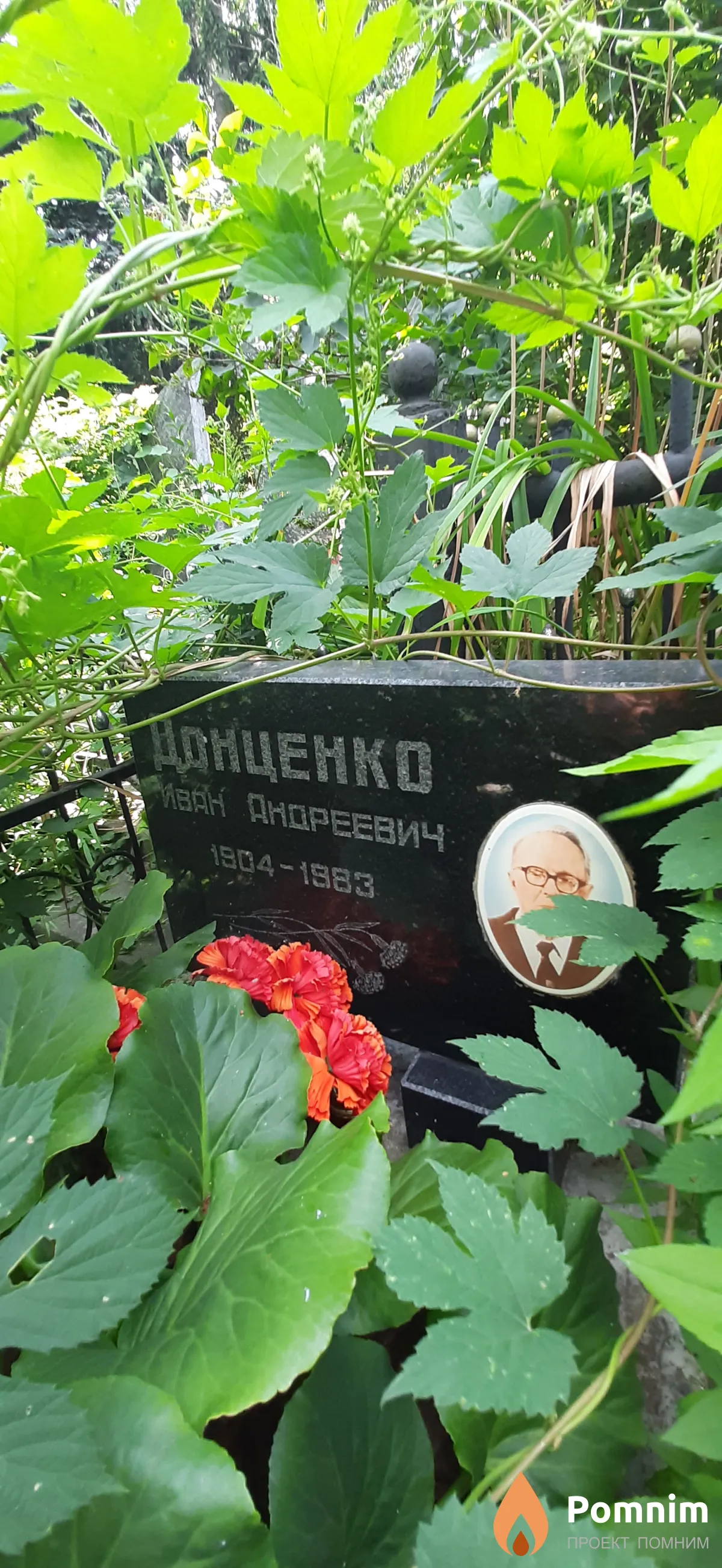 Донценко Иван Андреевич