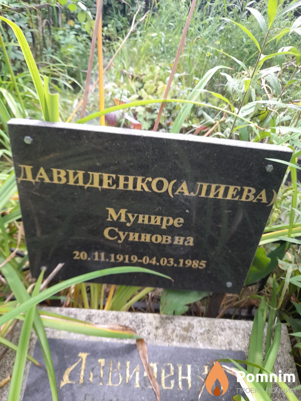 Давиденко -Алиева Мунире Суиновна
