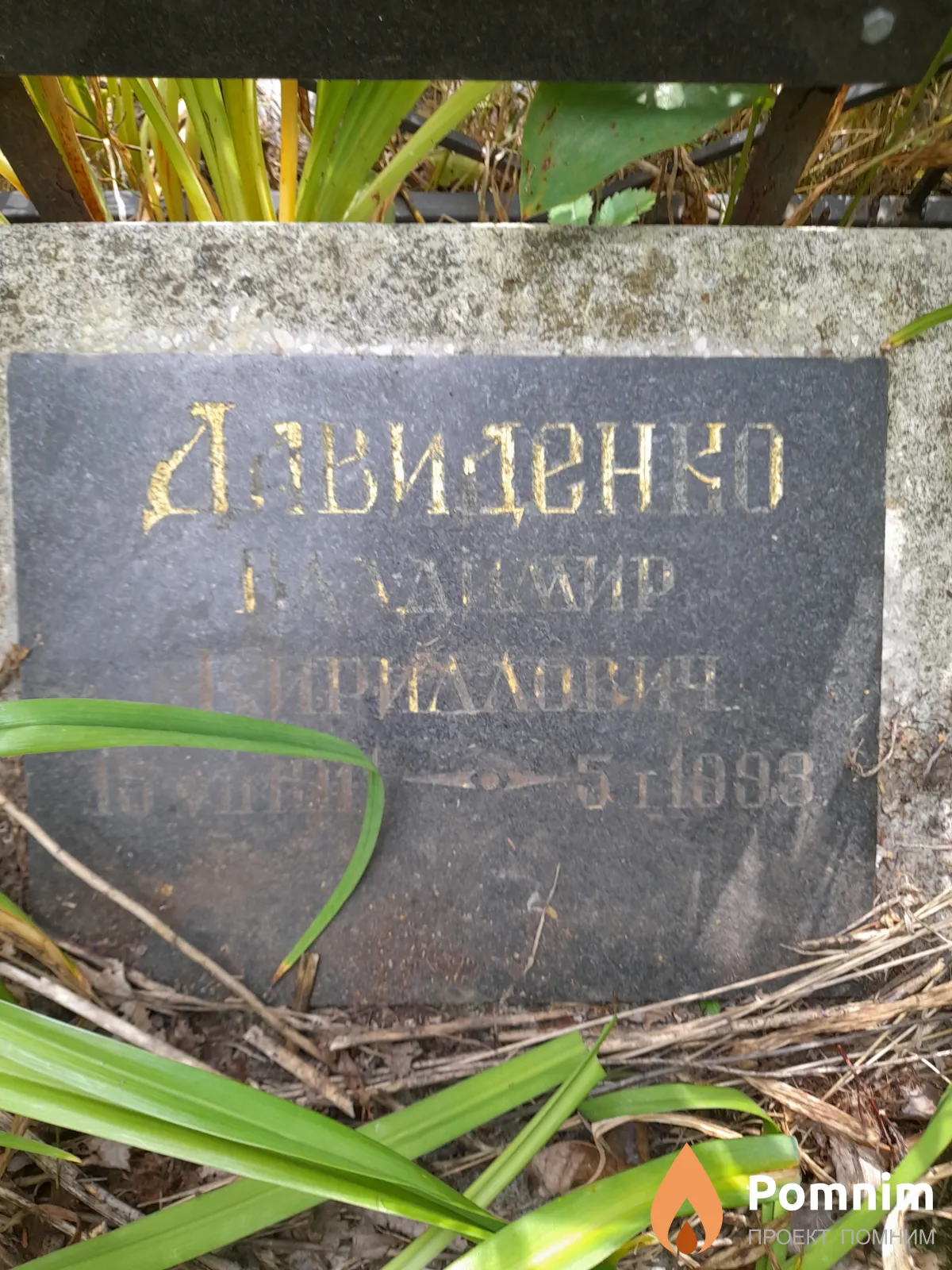 Давиденко Владимир Кириллович