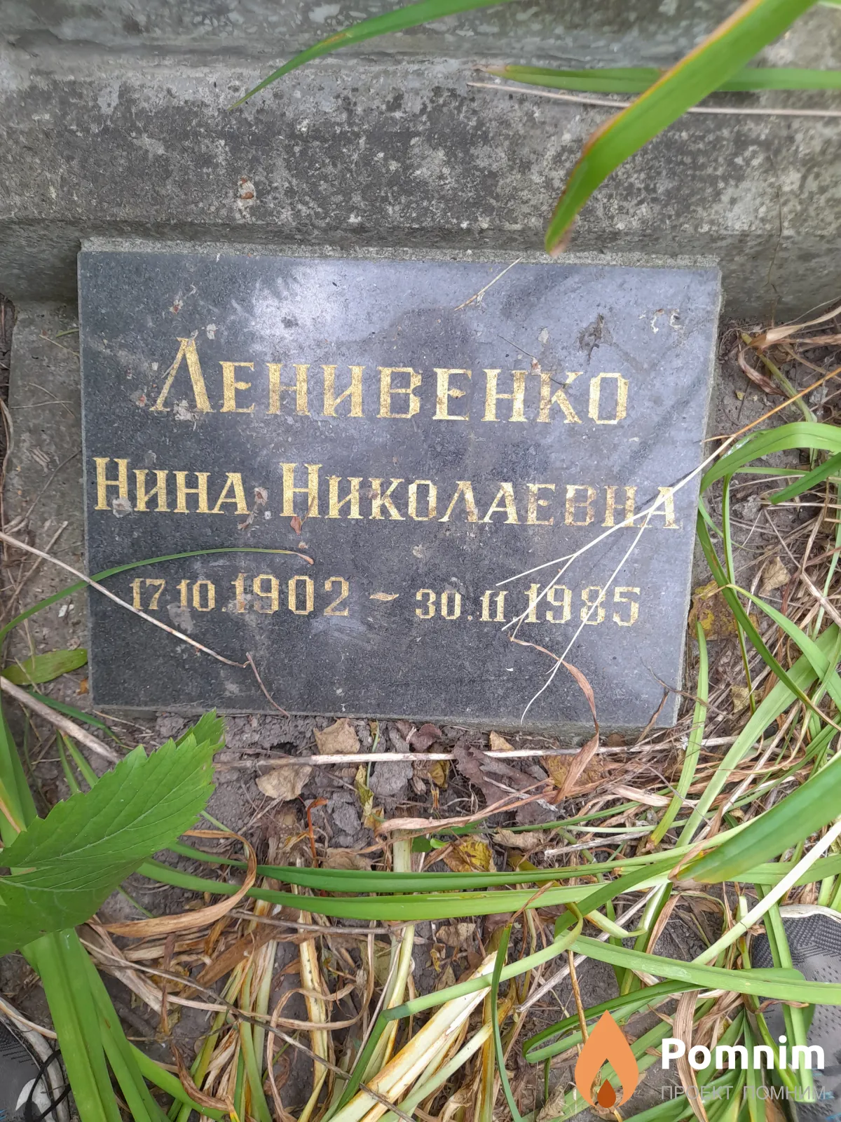 Ленивенко Нина Николаевна