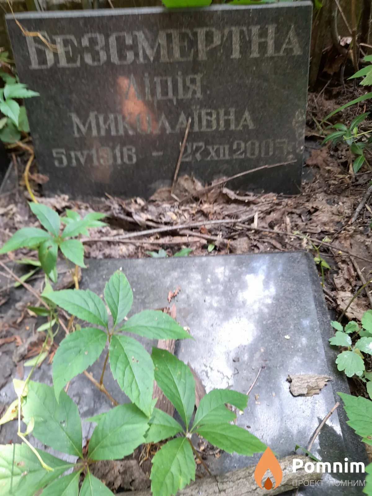Бессмертная Лиция Миколаевна