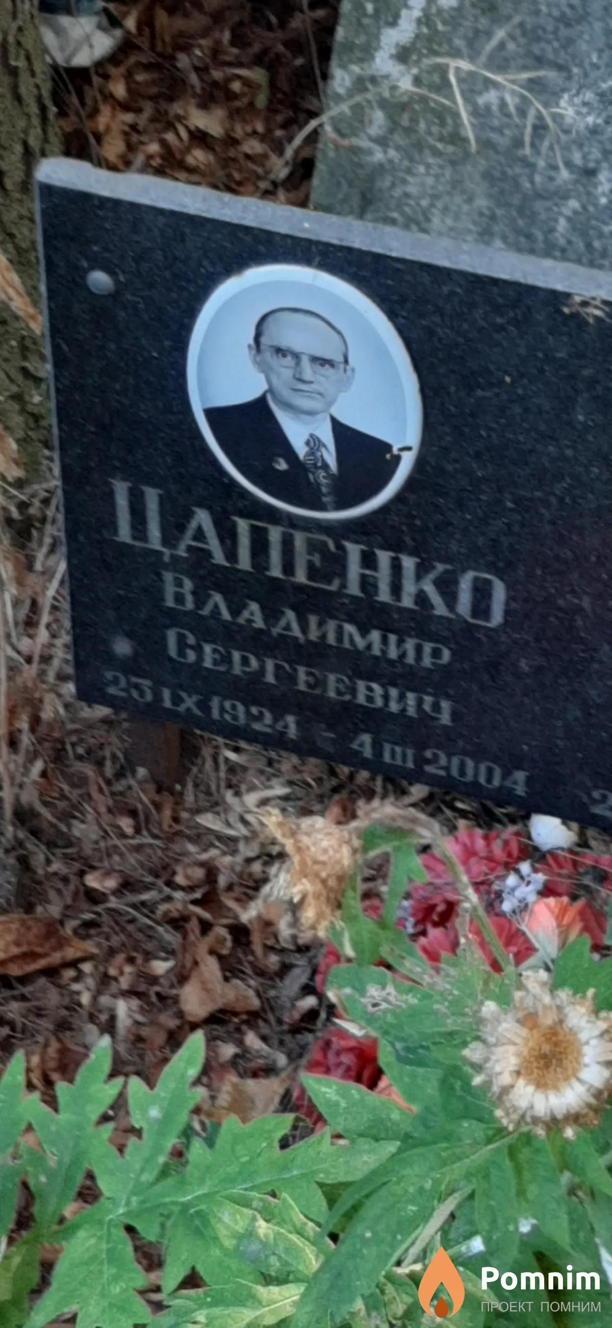 Цапенко Владимир Сергеевич