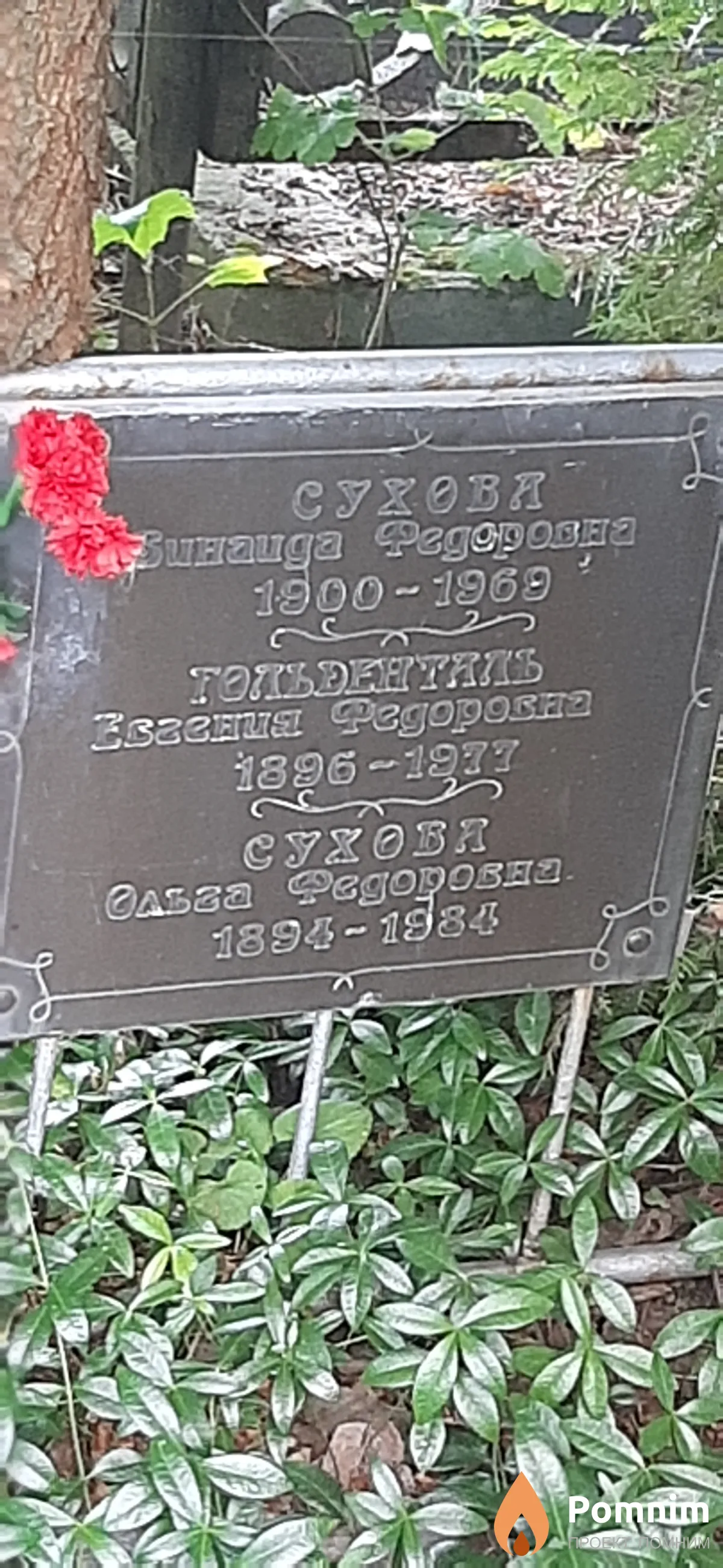 Гольденталь Евгения Федоровна