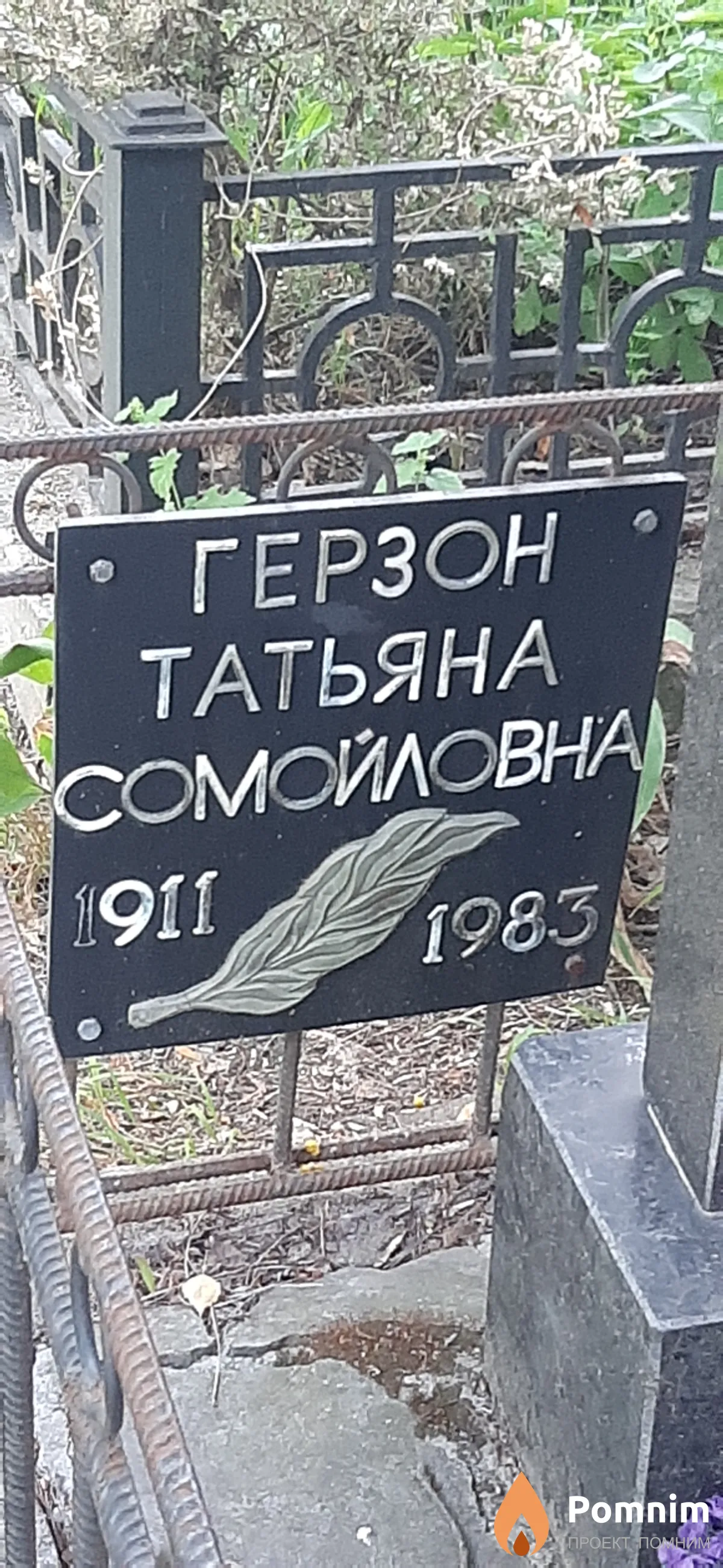 Герзон Татьяна Сомойловна