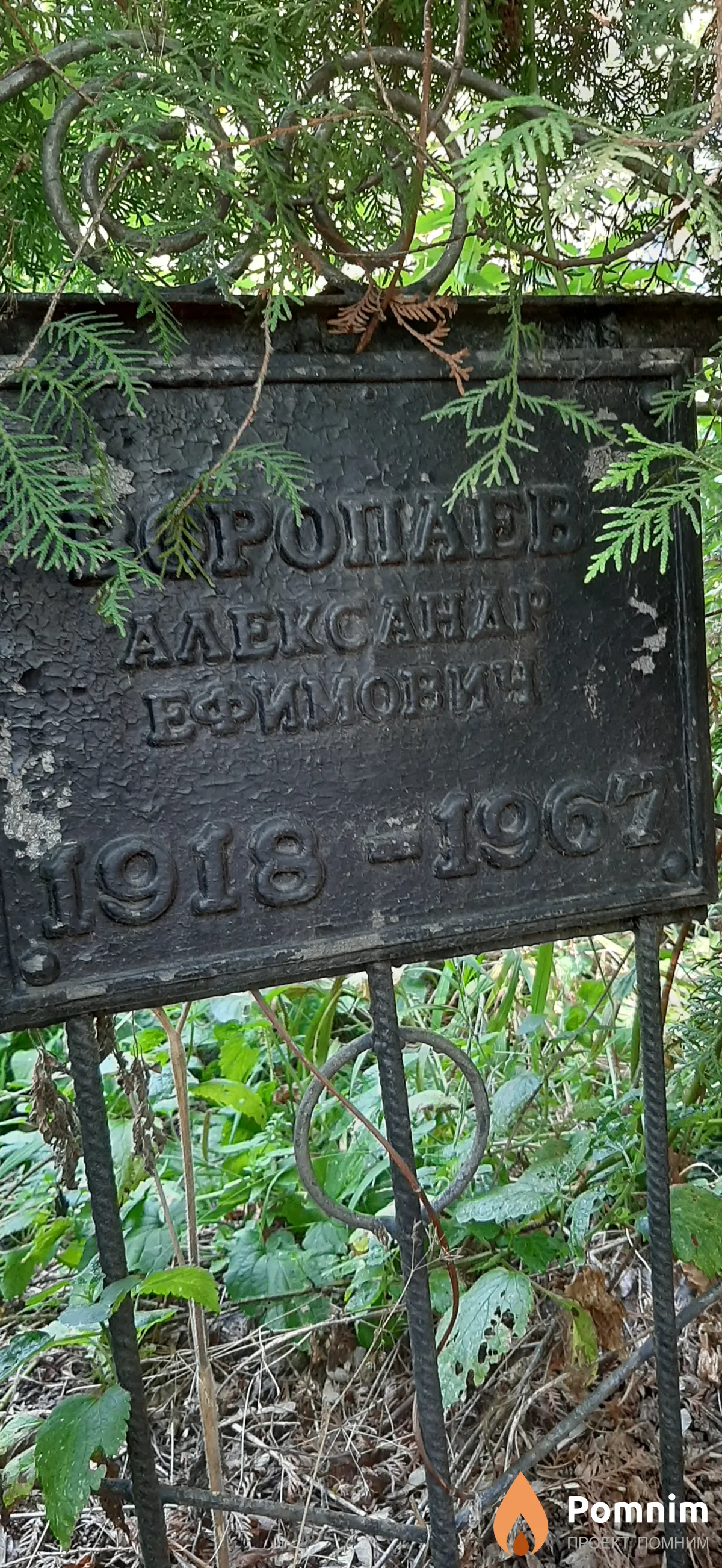 Воропаев Александр Ефимович