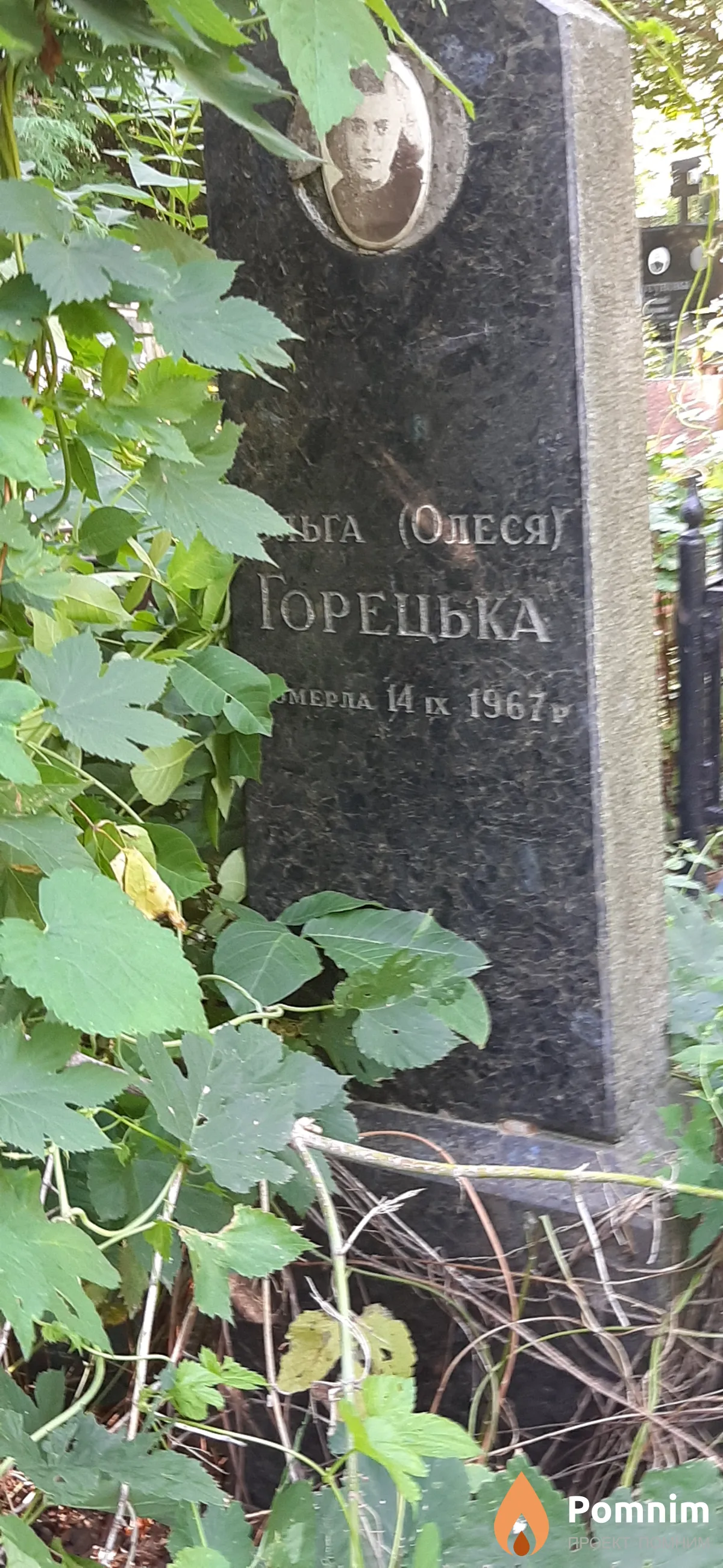 Горецька Олеся Omepna