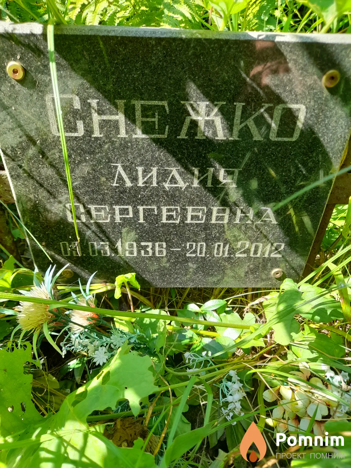 Снежко Лидия Сергеевна