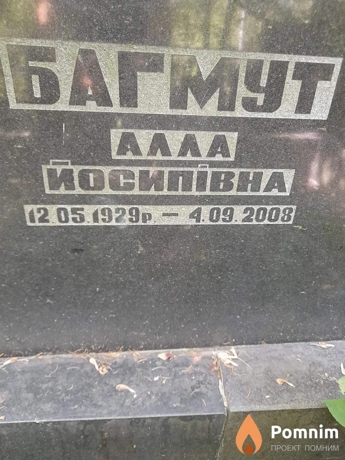 Багмут Алла Йосипивна