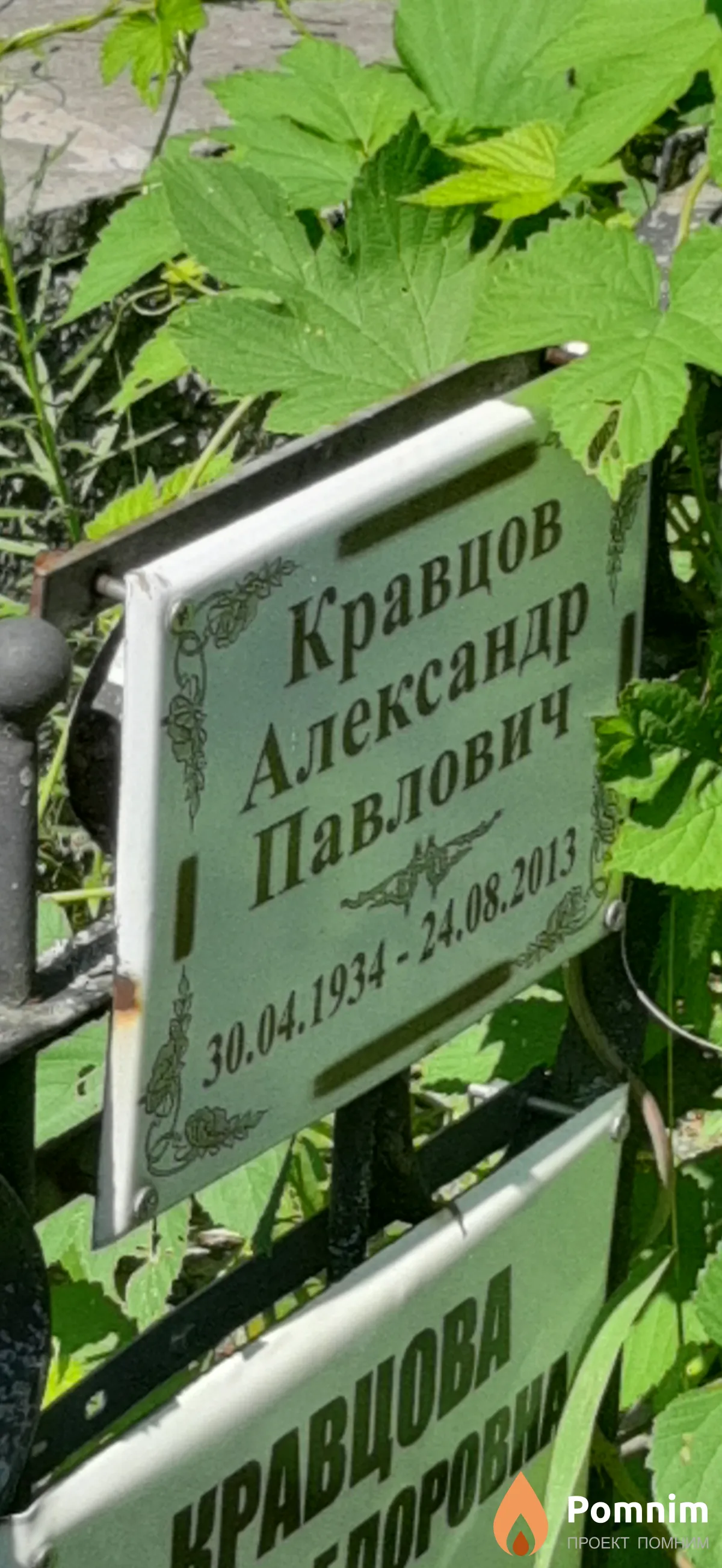 Кравцов Александр Павлович