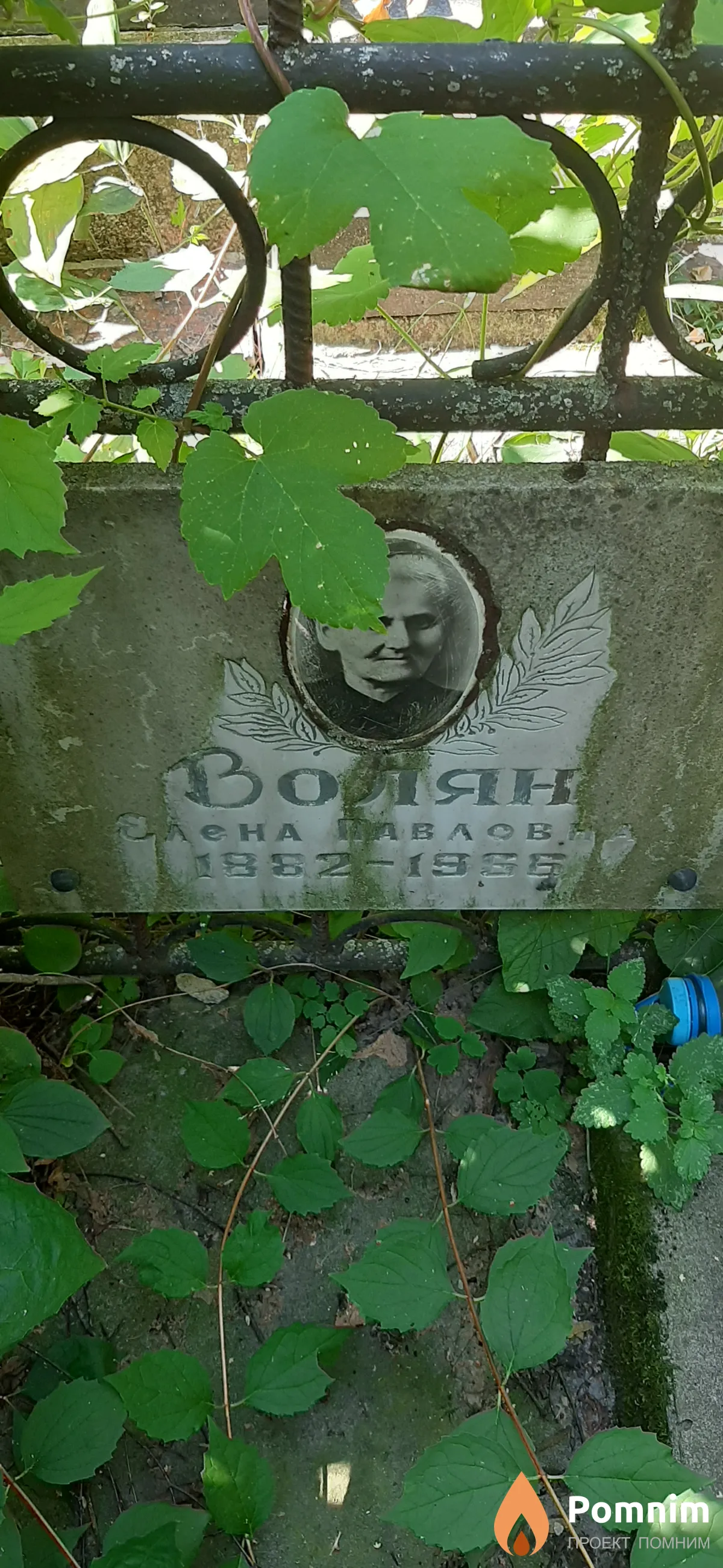 Воляк Галина Дмитриевна