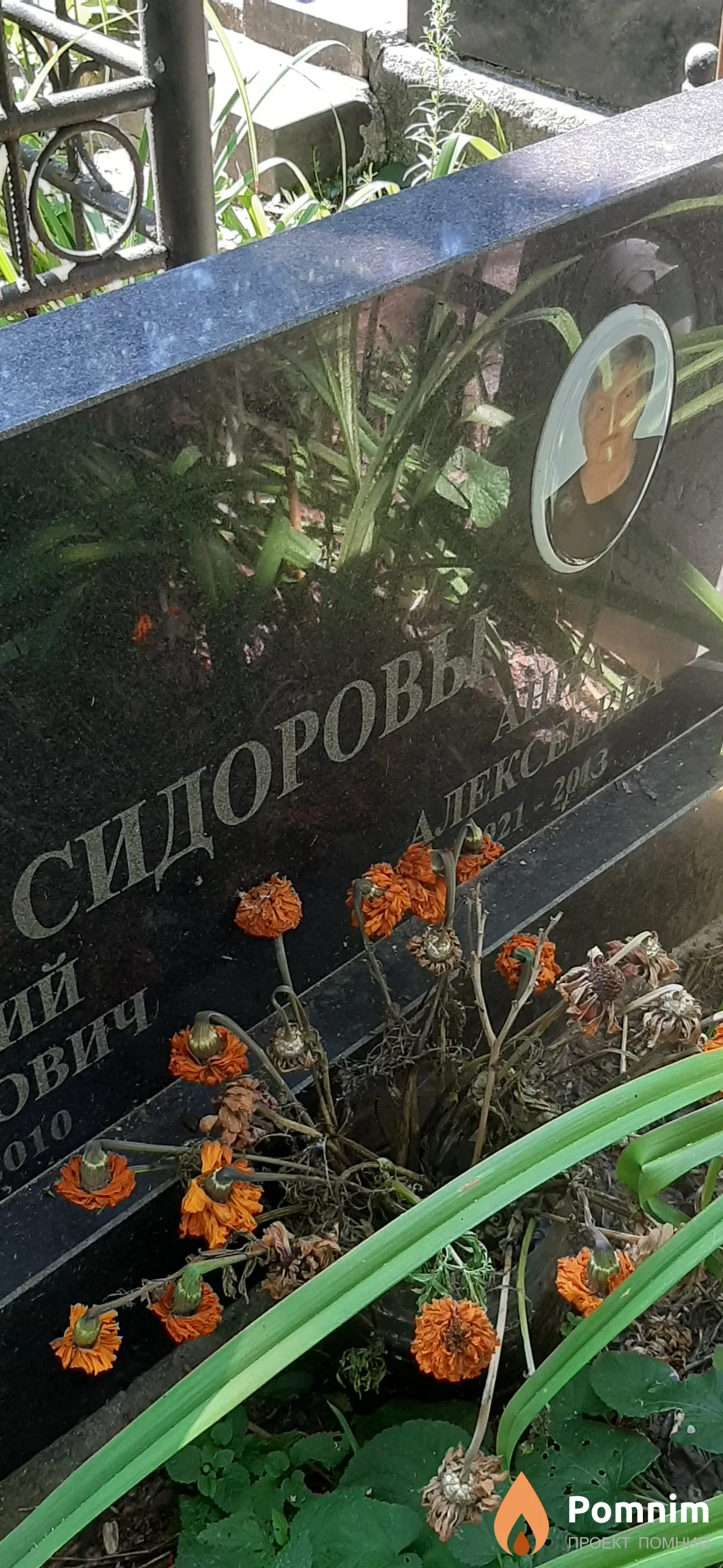 Сидоров Анна Алексеевна