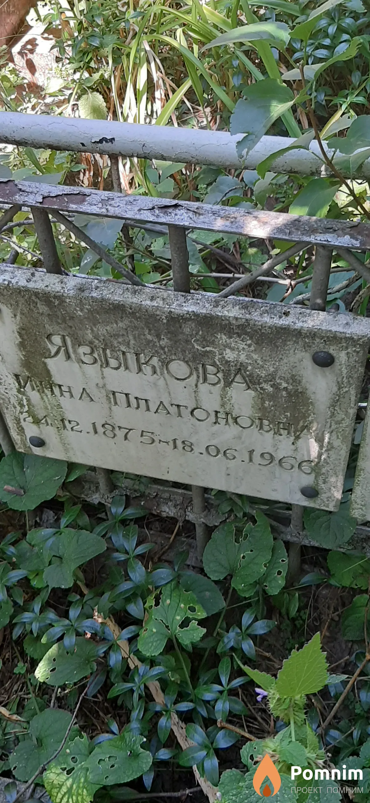 Языкова Инна Платоновна