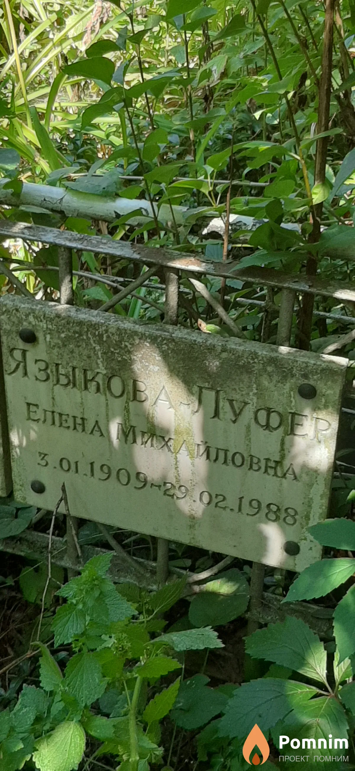 Языкова Елена Михайловна