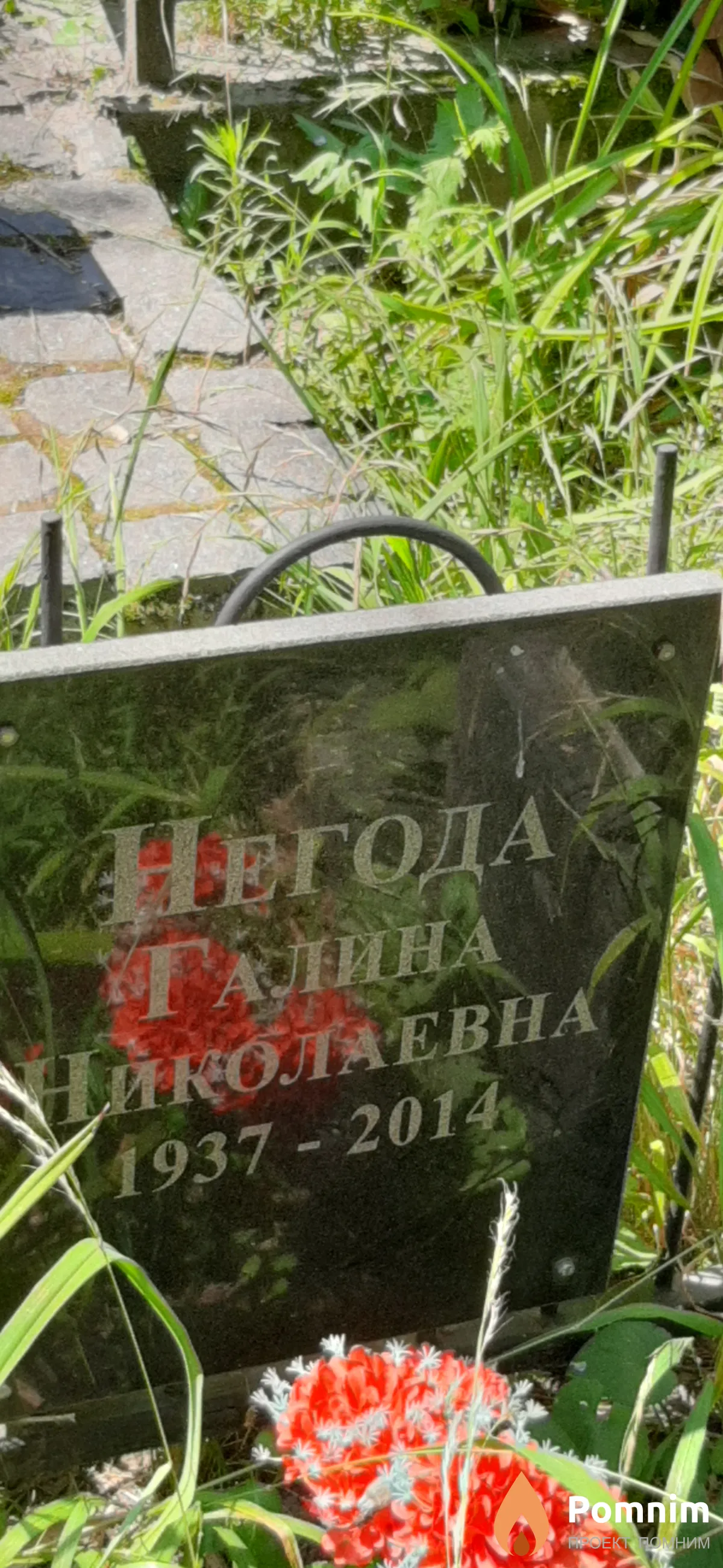 Негода Галина Николаевна