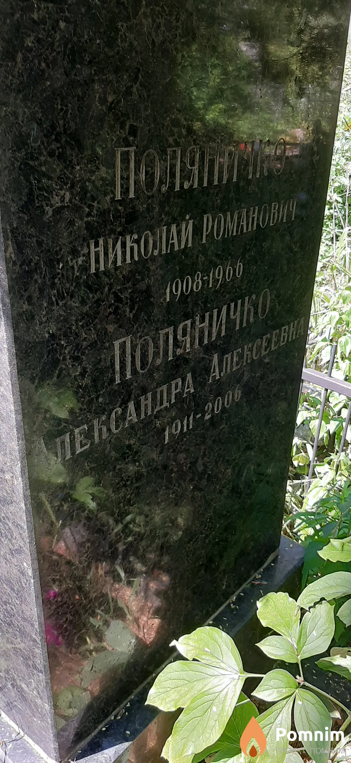 Поляничко Александра Алексеевна