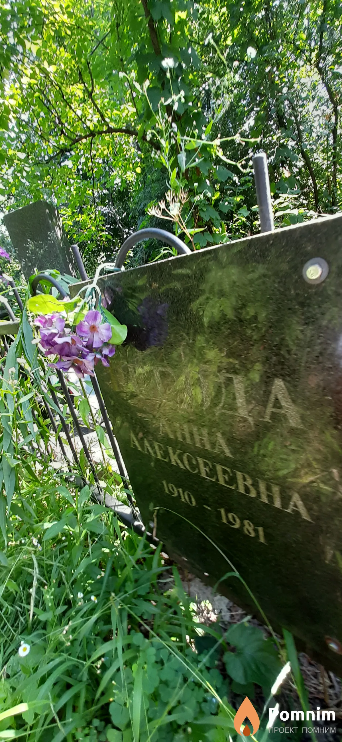 Негода Анна Алексеевна