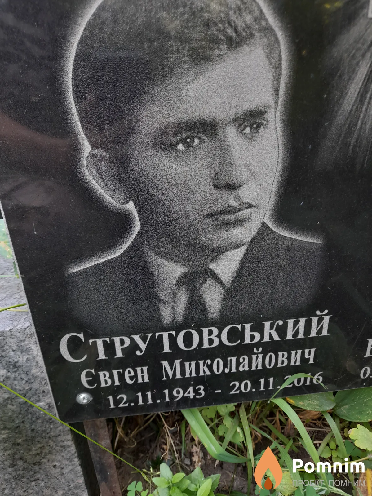 Струтовський Євген Миколайович