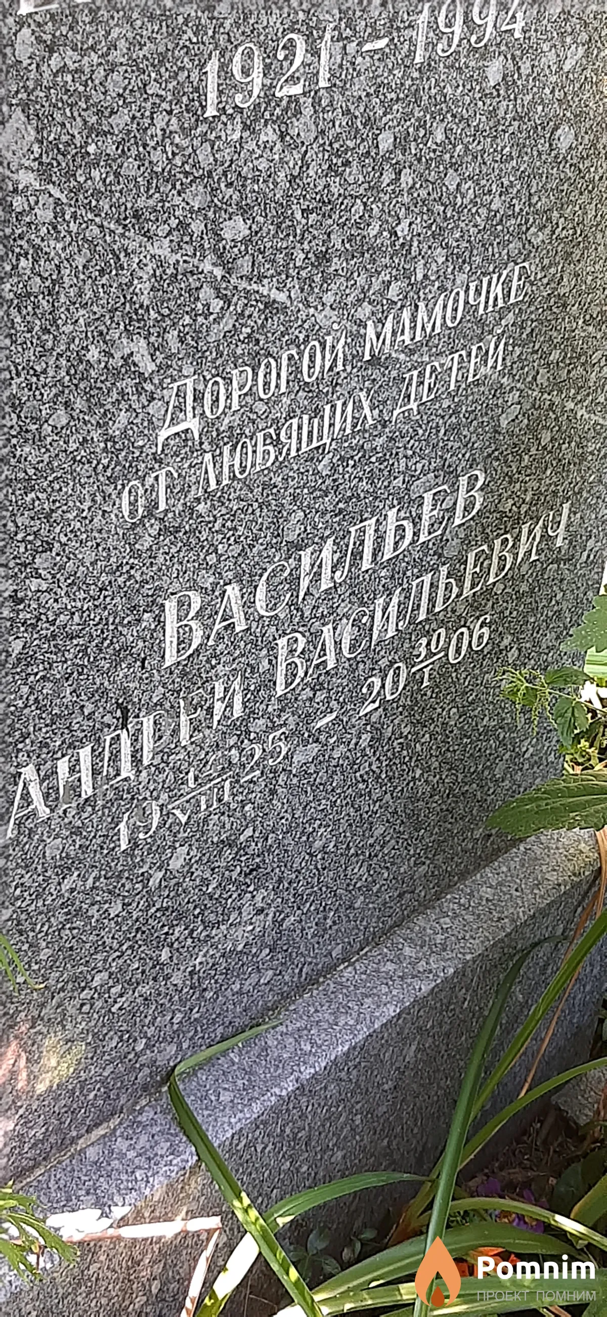 Васильев Андрей Васильевич