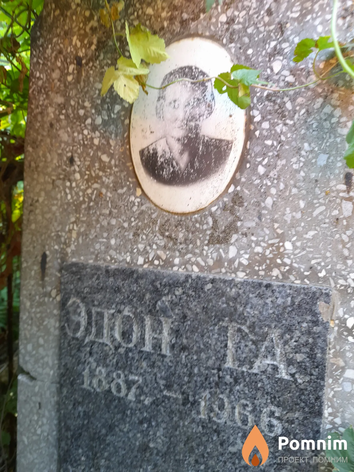 Эдон Т А