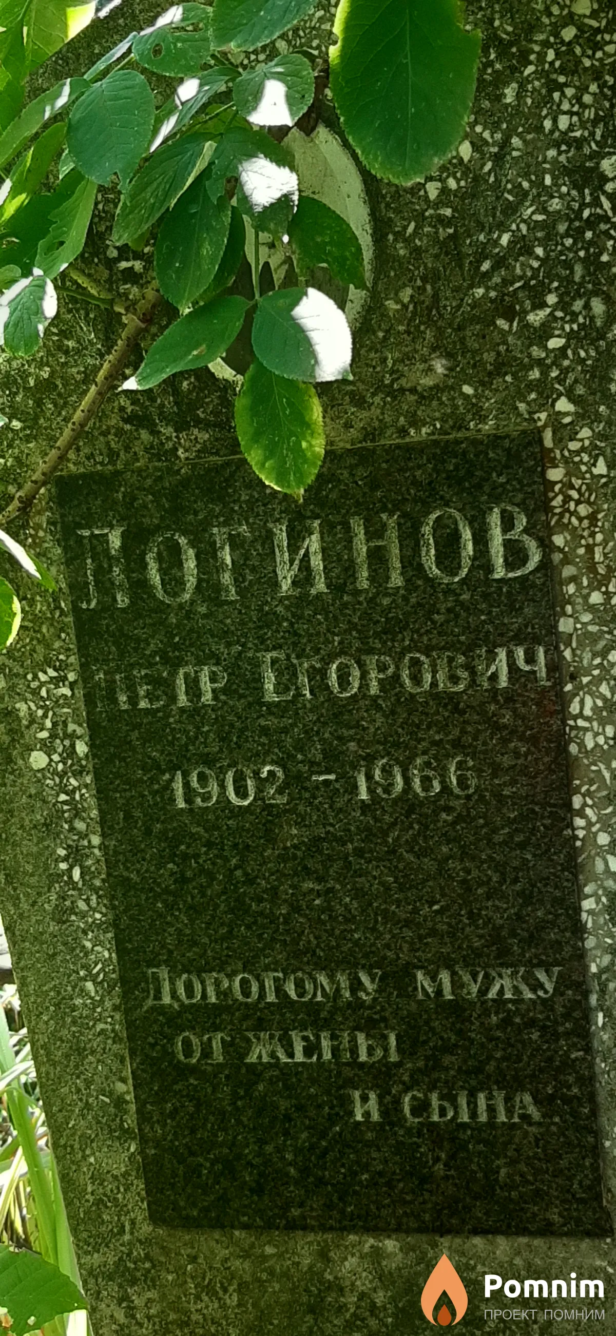 Логинов Петр Егорович