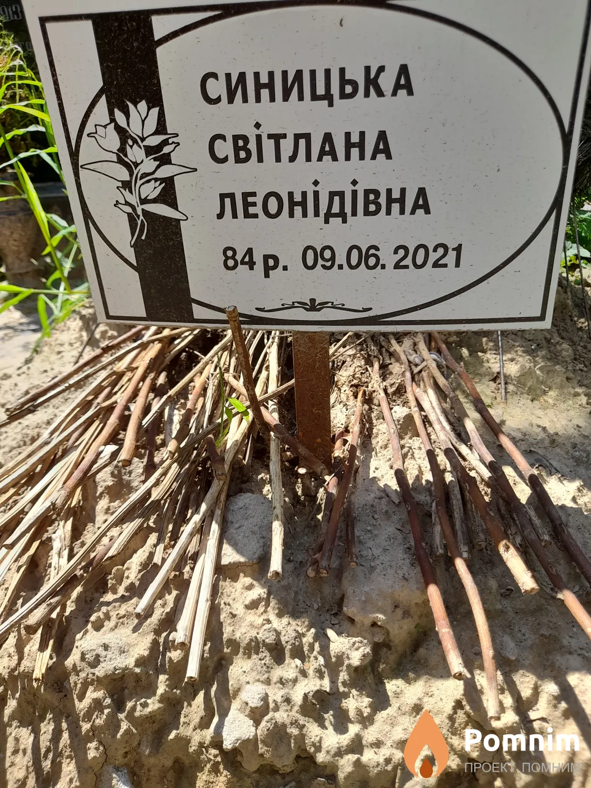 Синицка Свитлана Леонидивна