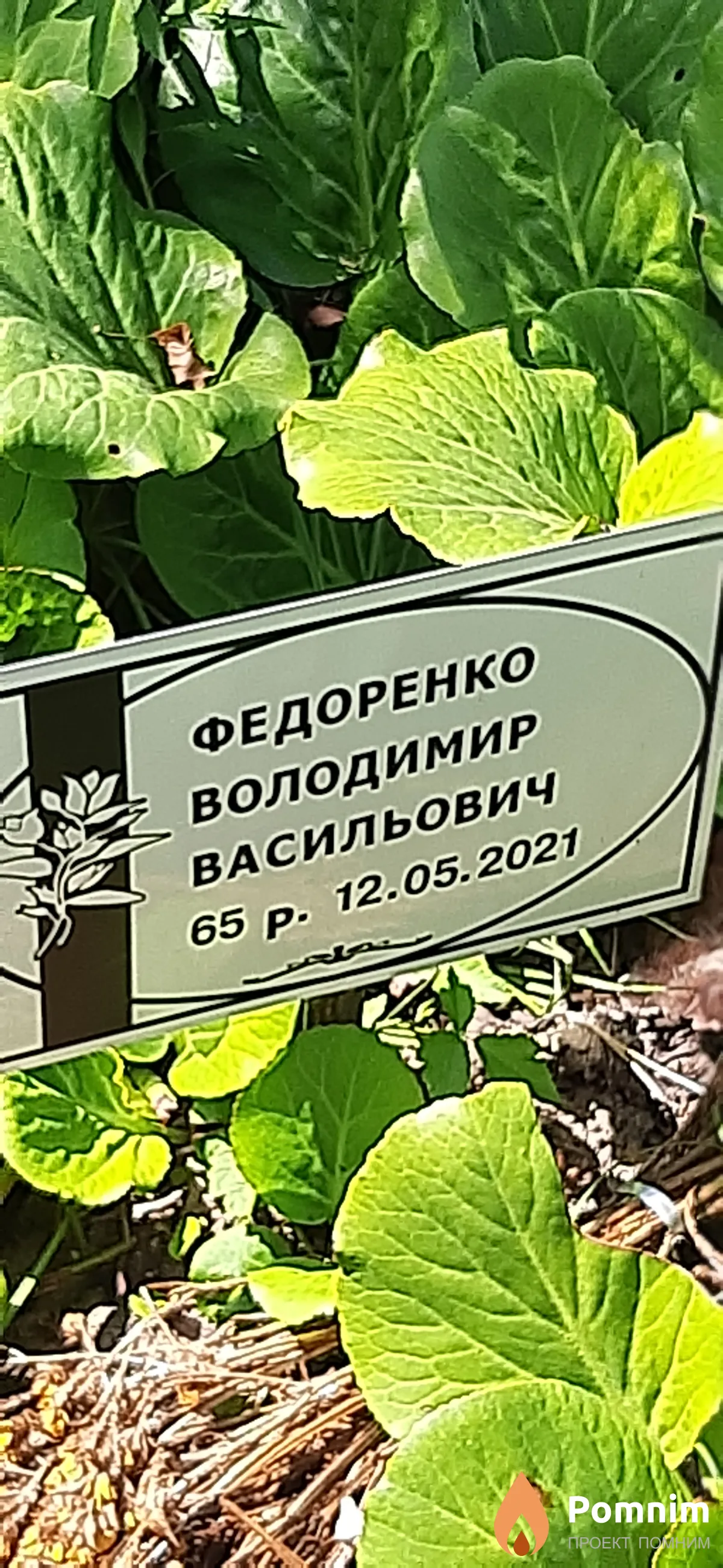 Федоренко Володимир Васильевич