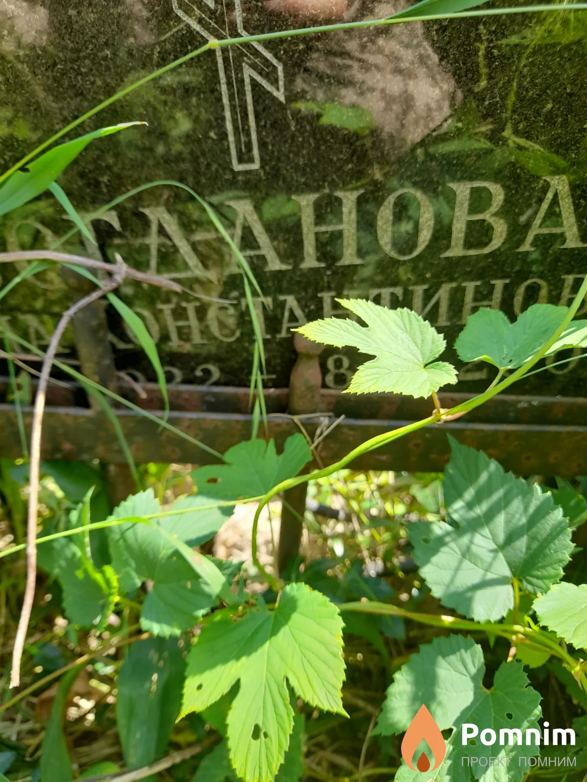Богданова Елена Кокстантиновна