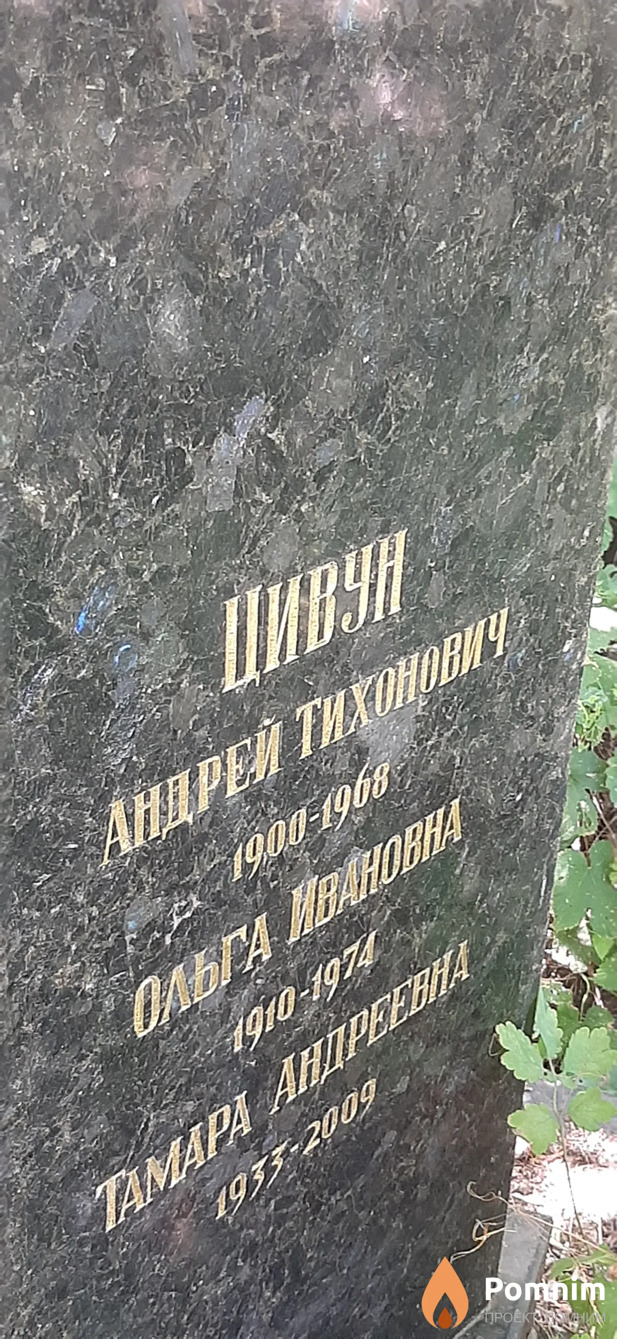 Цивун Андрей Тихонович