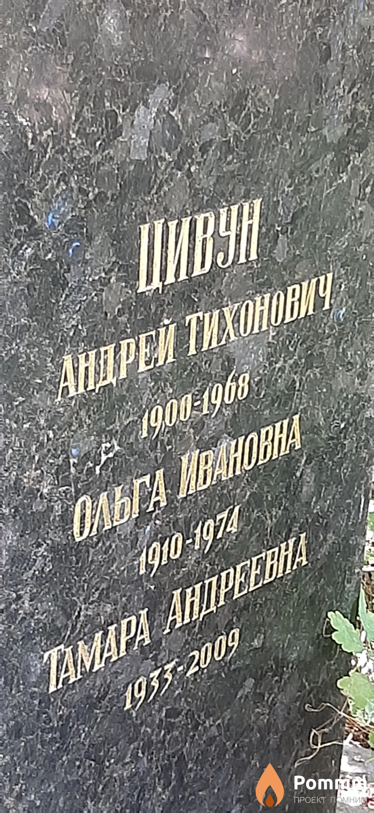 Цивун Ольга Ивановна