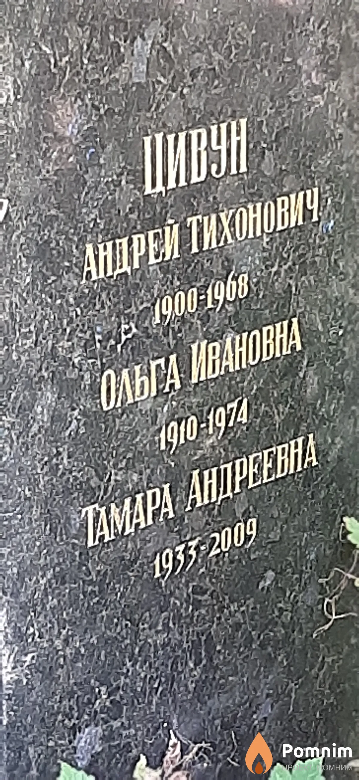 Цивун Тамара Андреевна