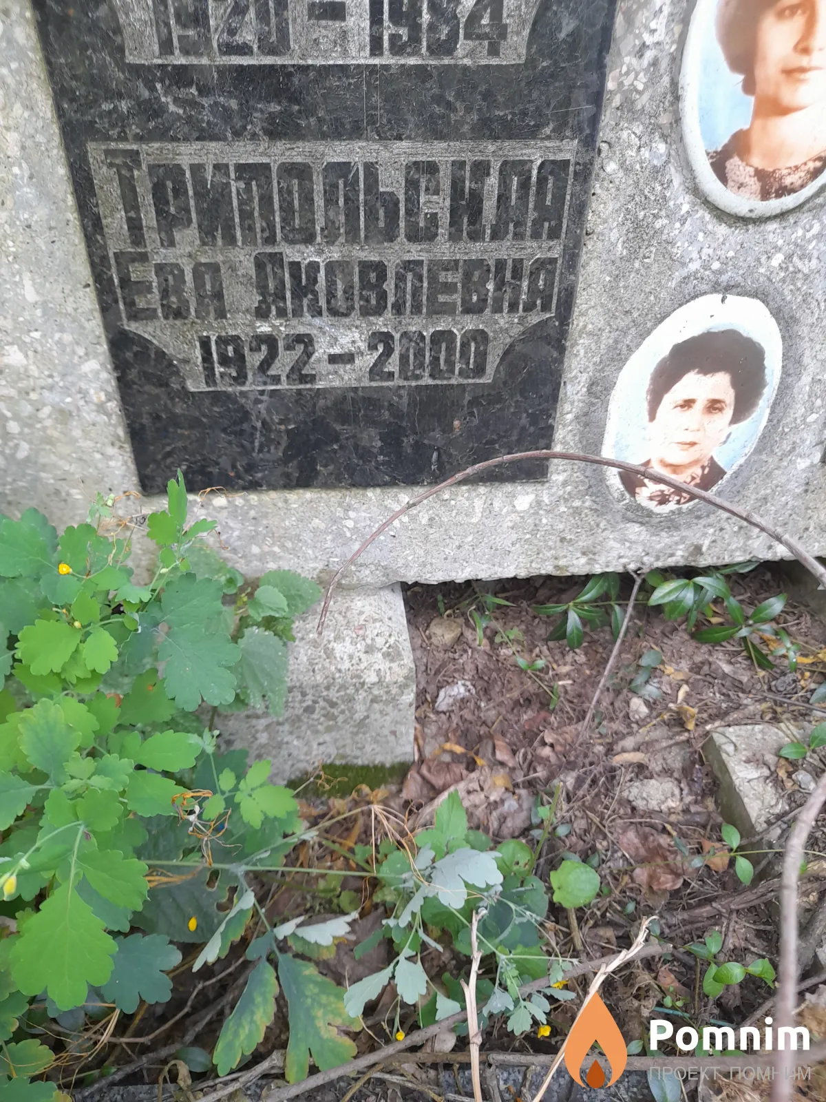 Трипольская Ева Яковлевна