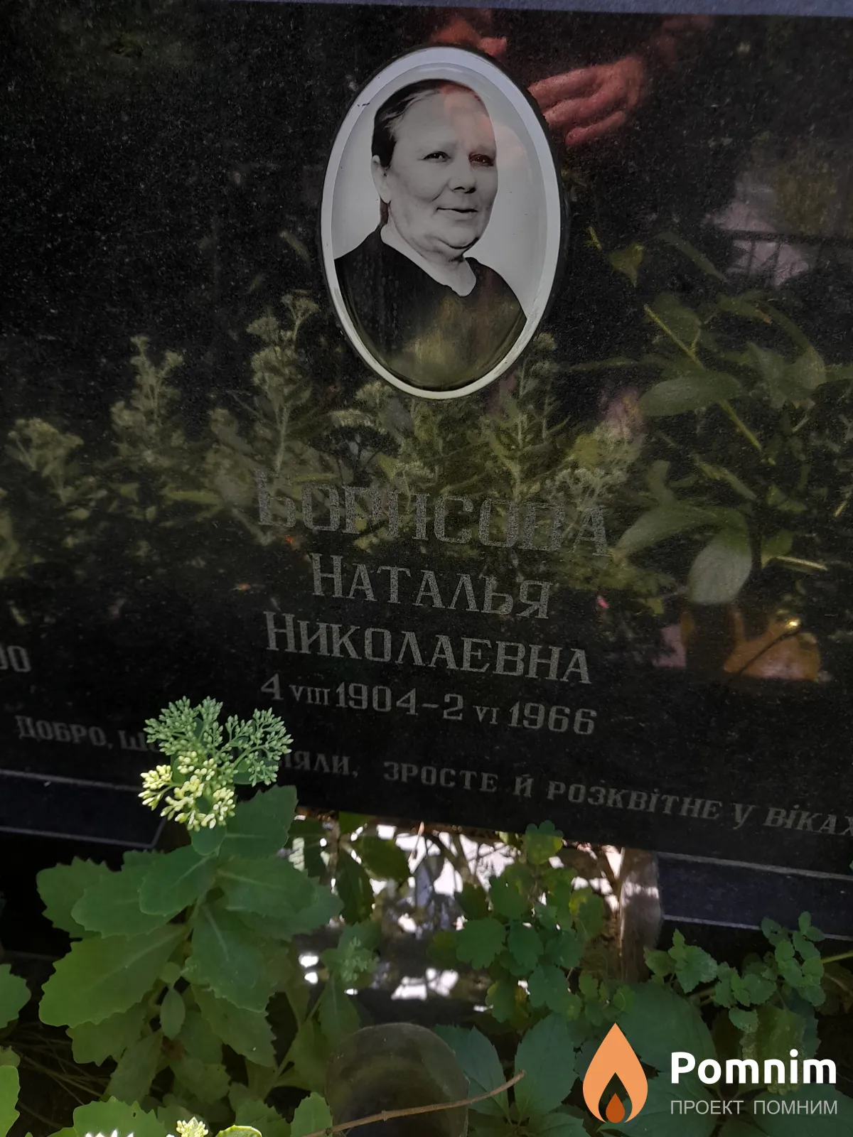Борисова Наталья Николаевна