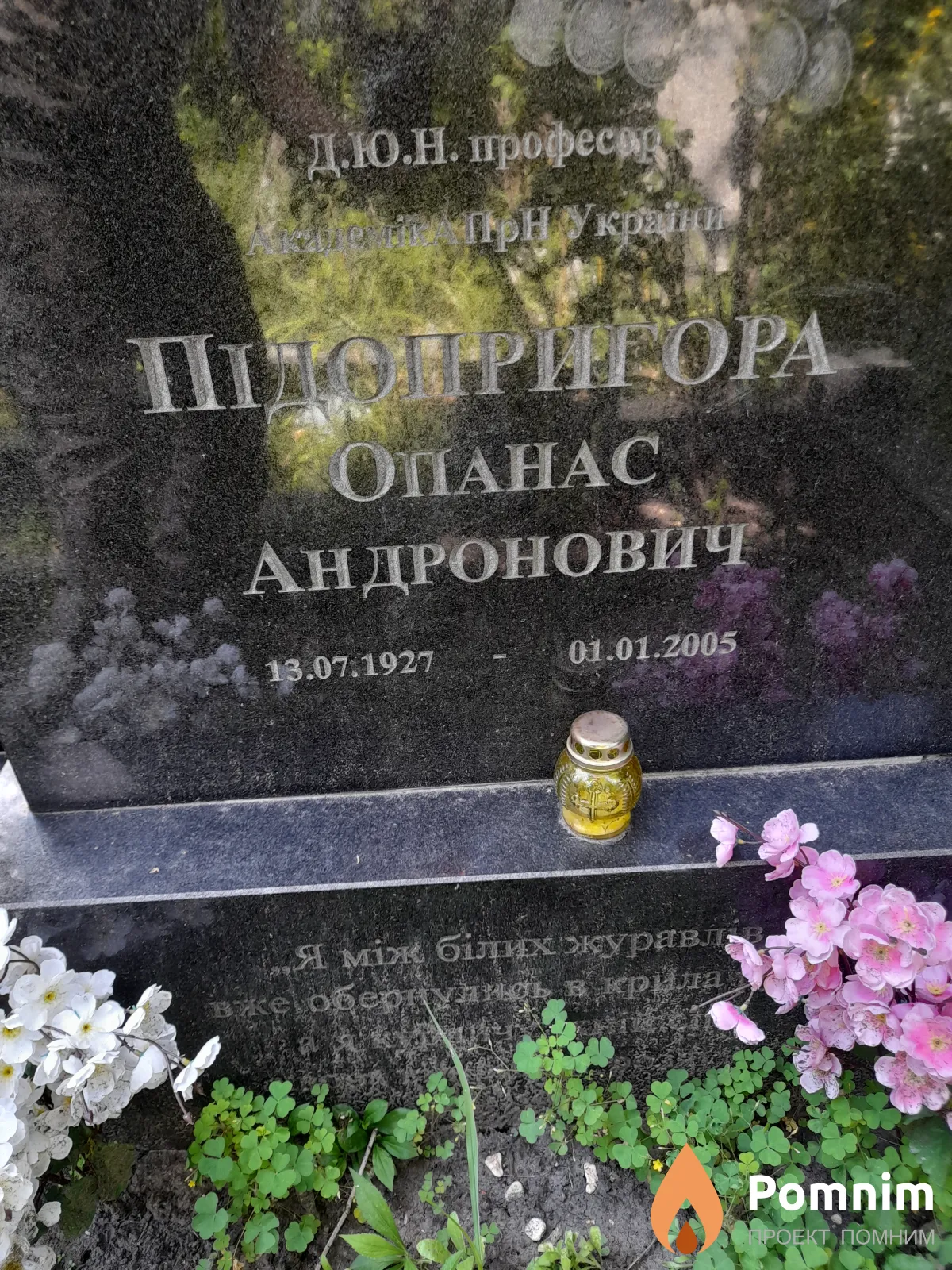 Пидопригора Опанас Андронович