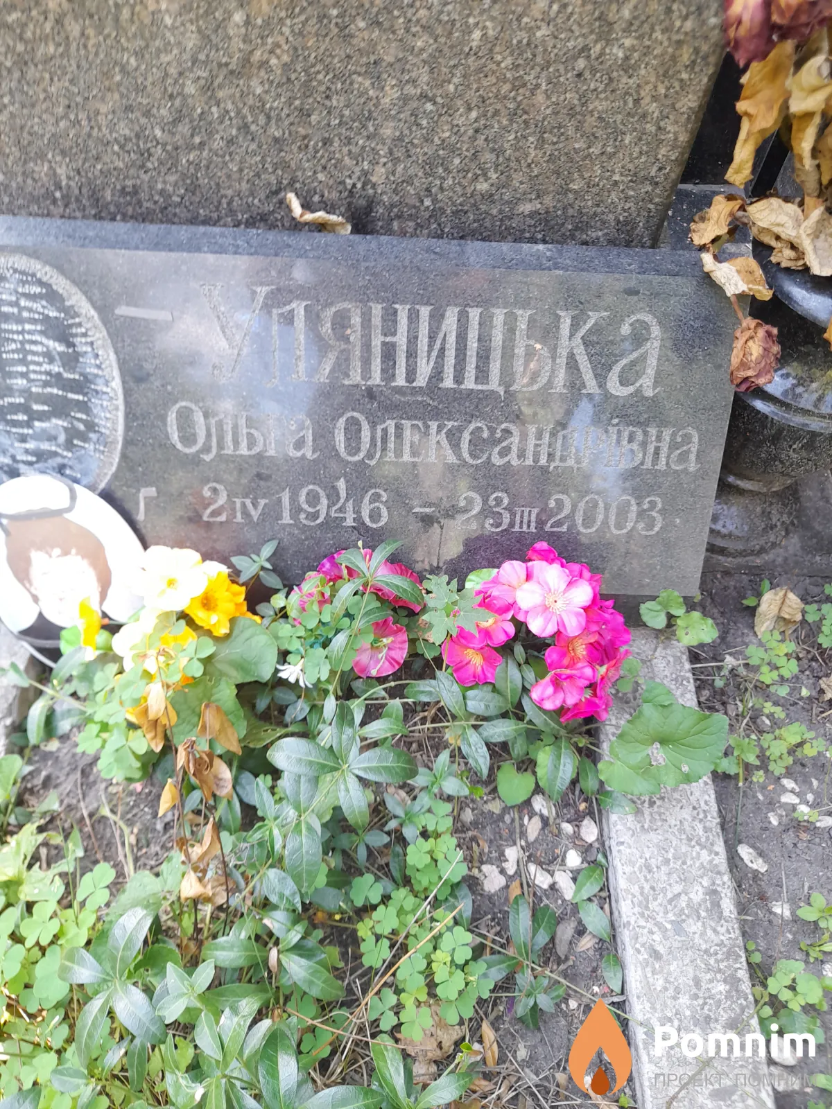 Уляницька Ольга Олександривна