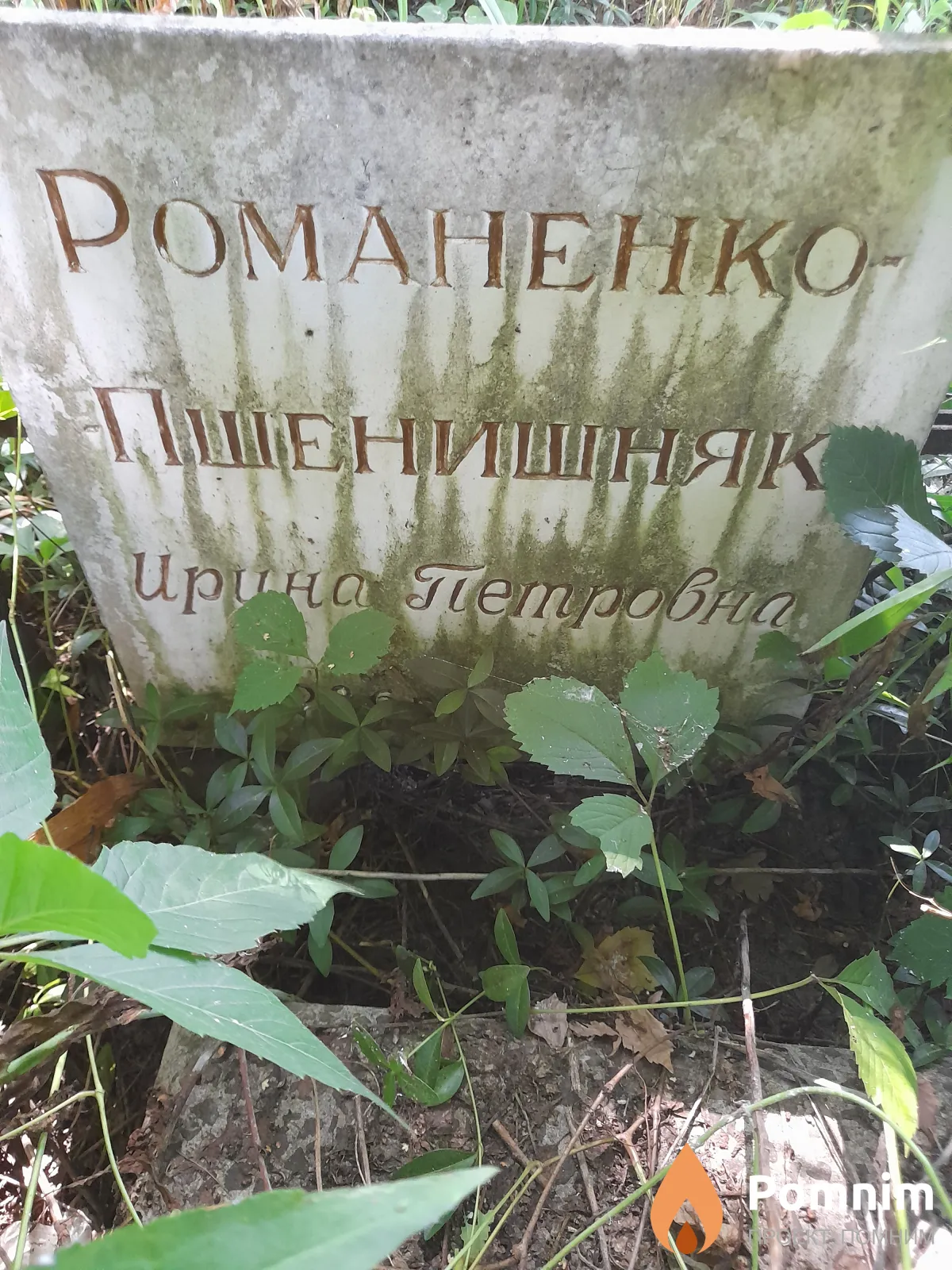 Романенко-Пшенишняк Ирина Петровна