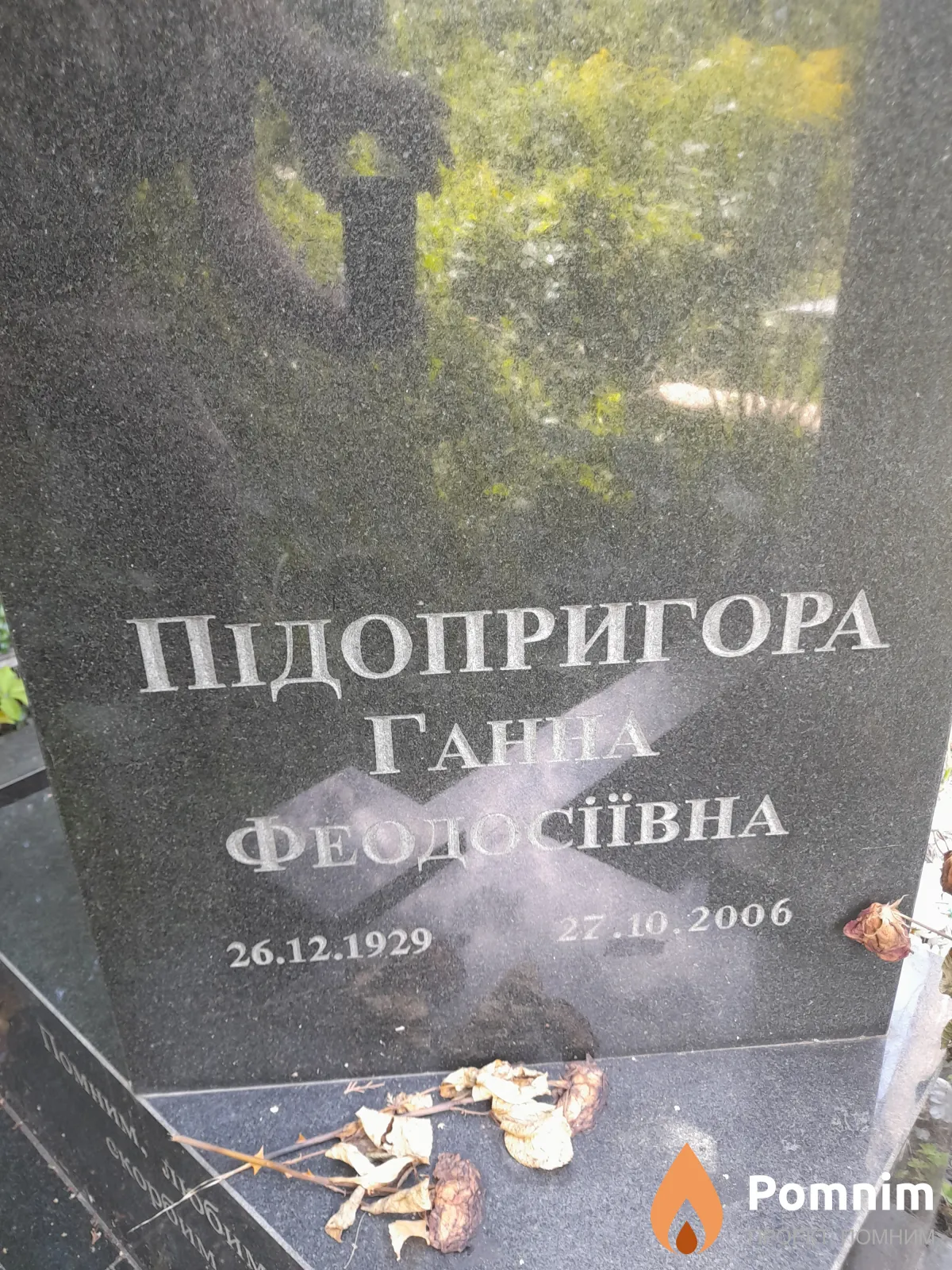 Підопригора Ганна Феодосіївна