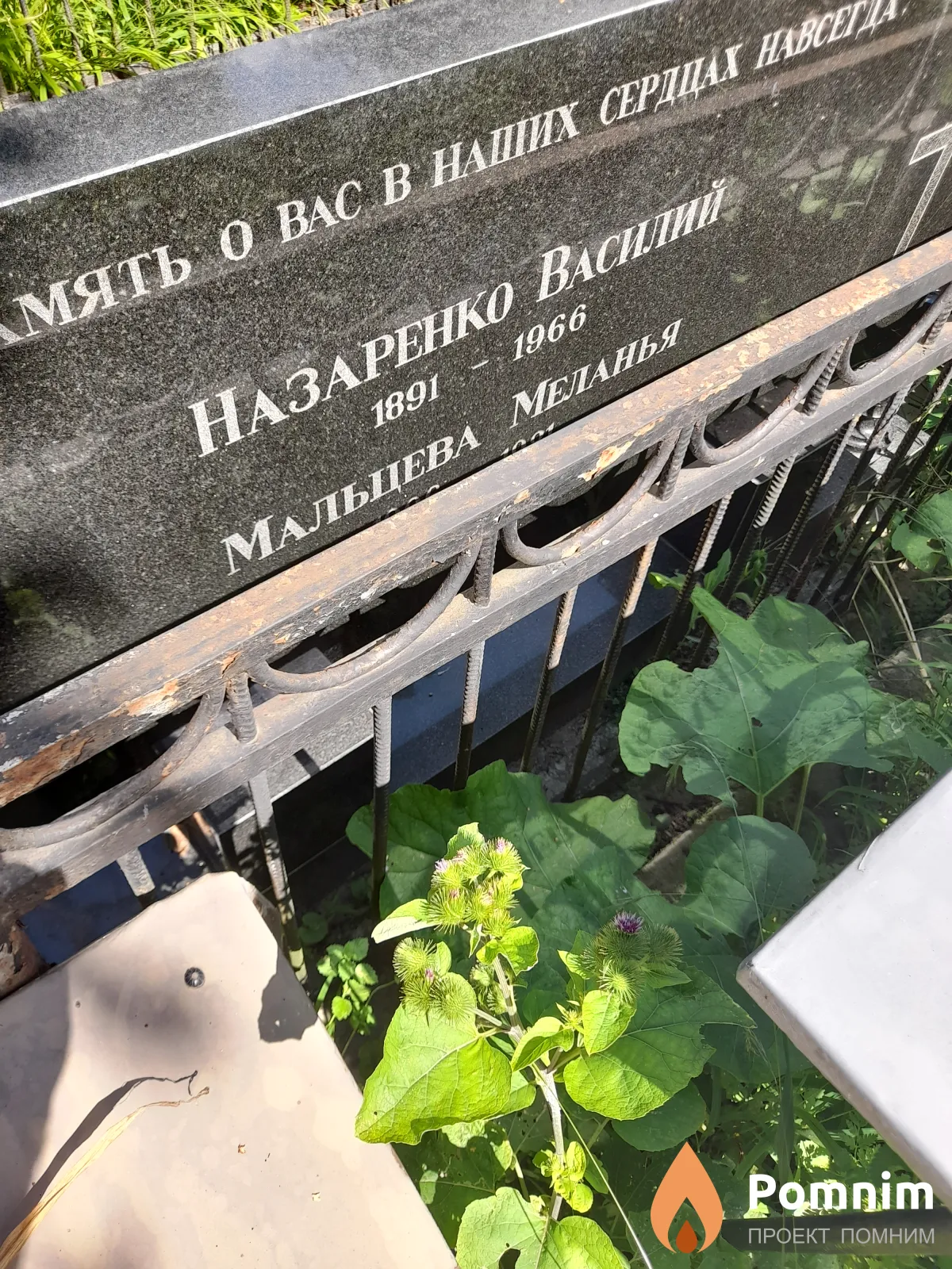 Назаренко Василий
