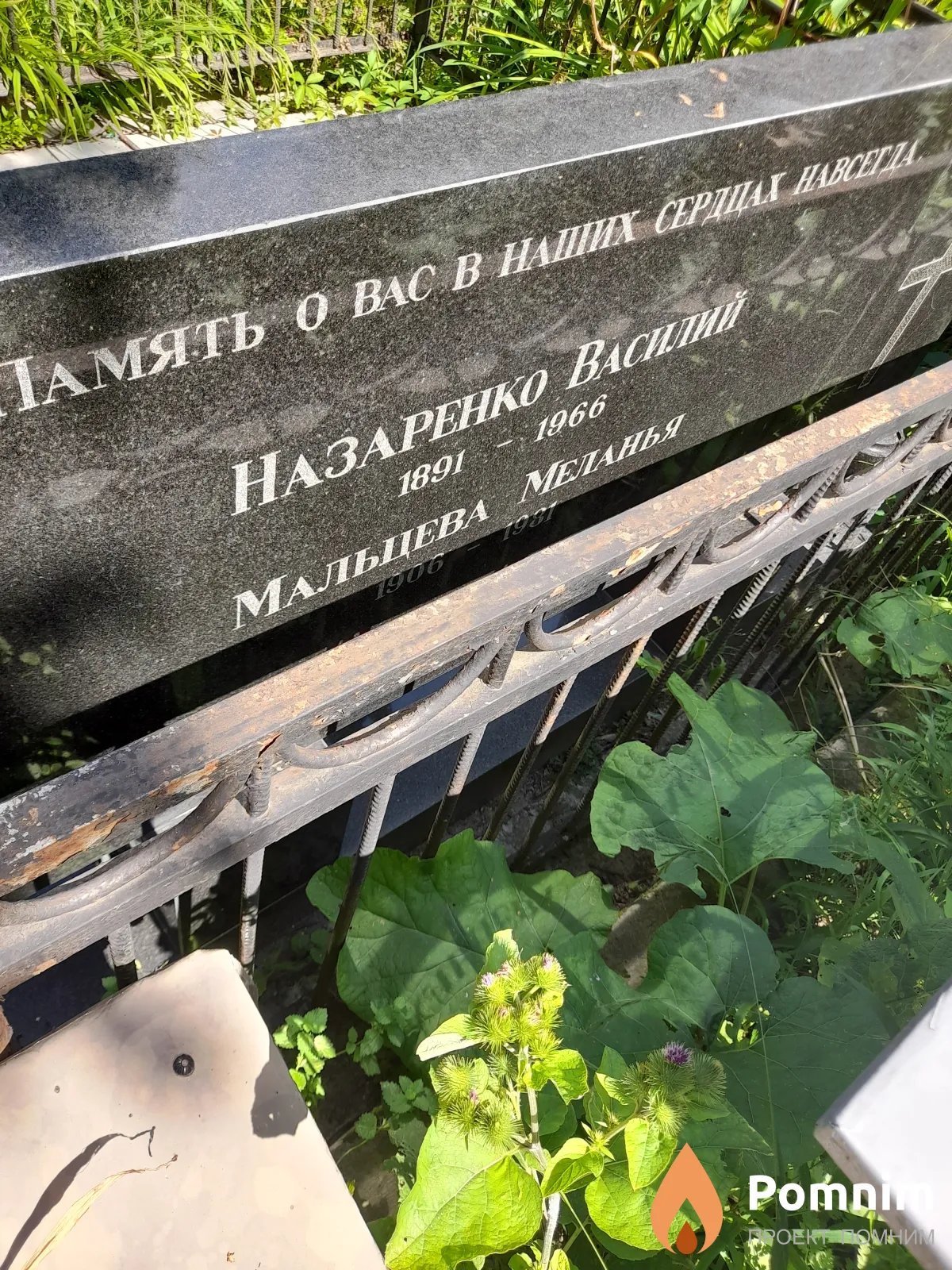 Мальцева Меланья