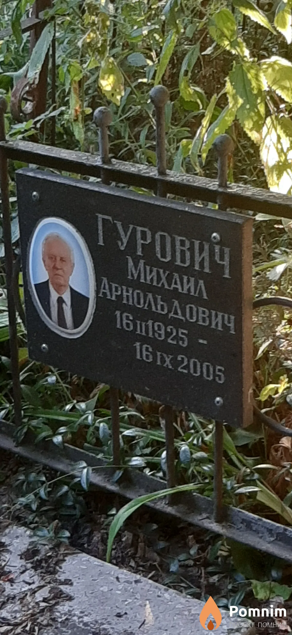 Гурович Михаил Арнольдович
