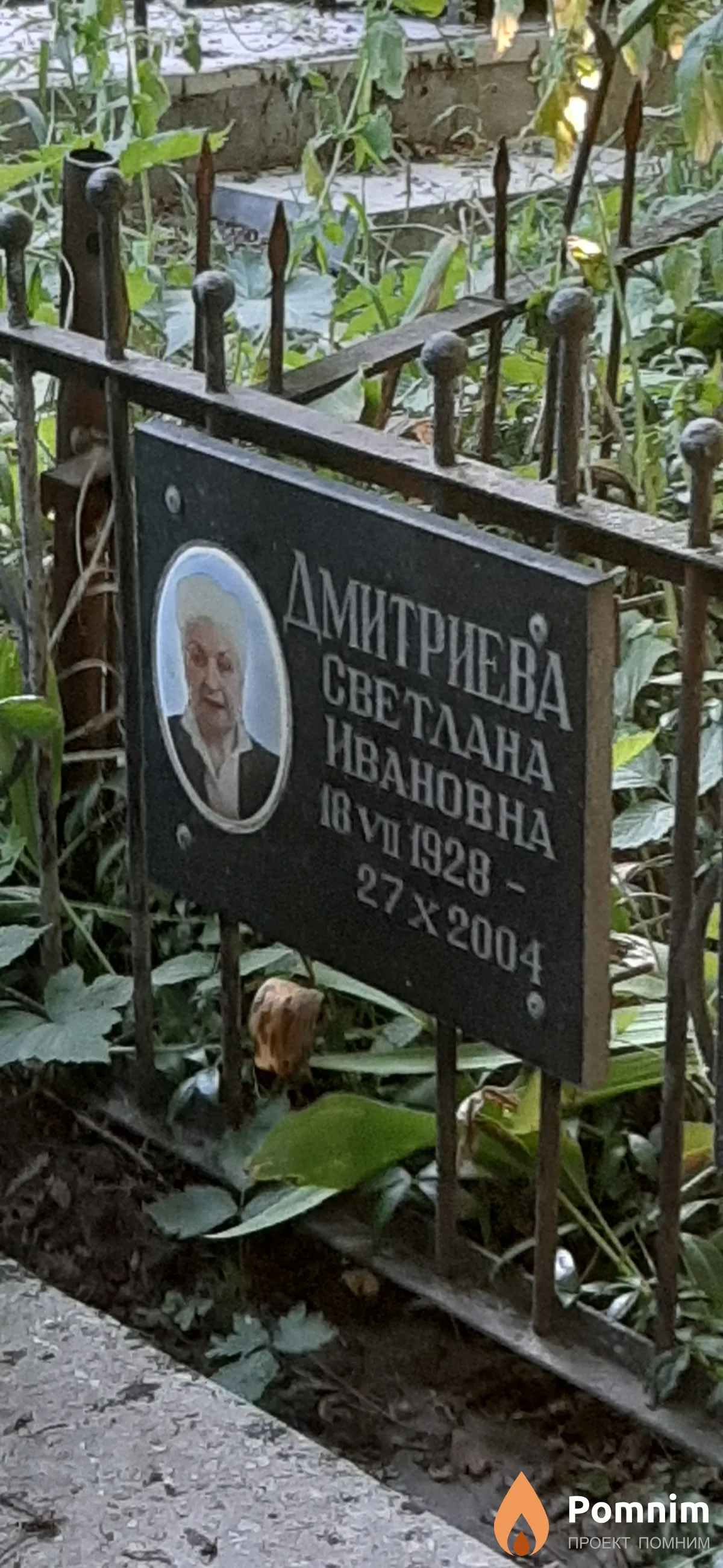 Дмитриева Светлана Ивановна