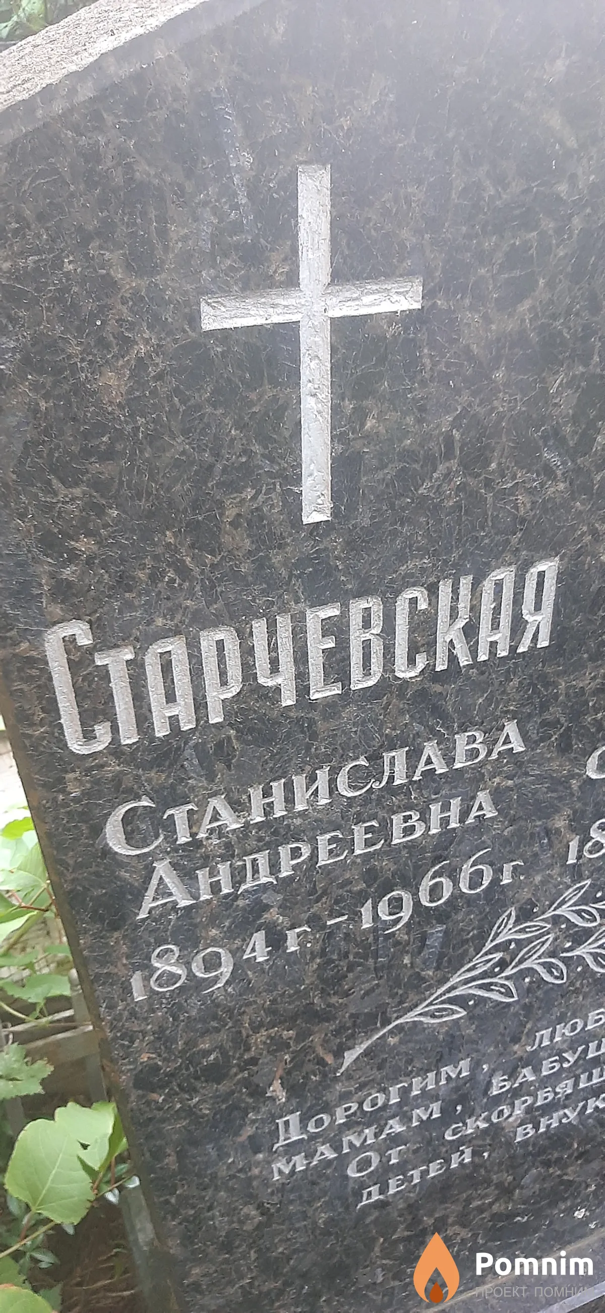 Старчевская Станислава Андреевна