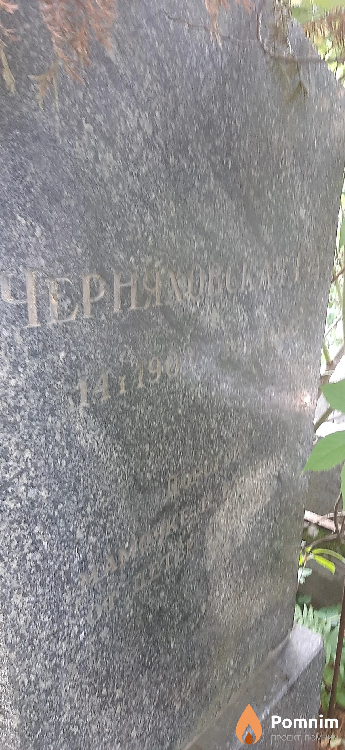 Черняховская Г. А.