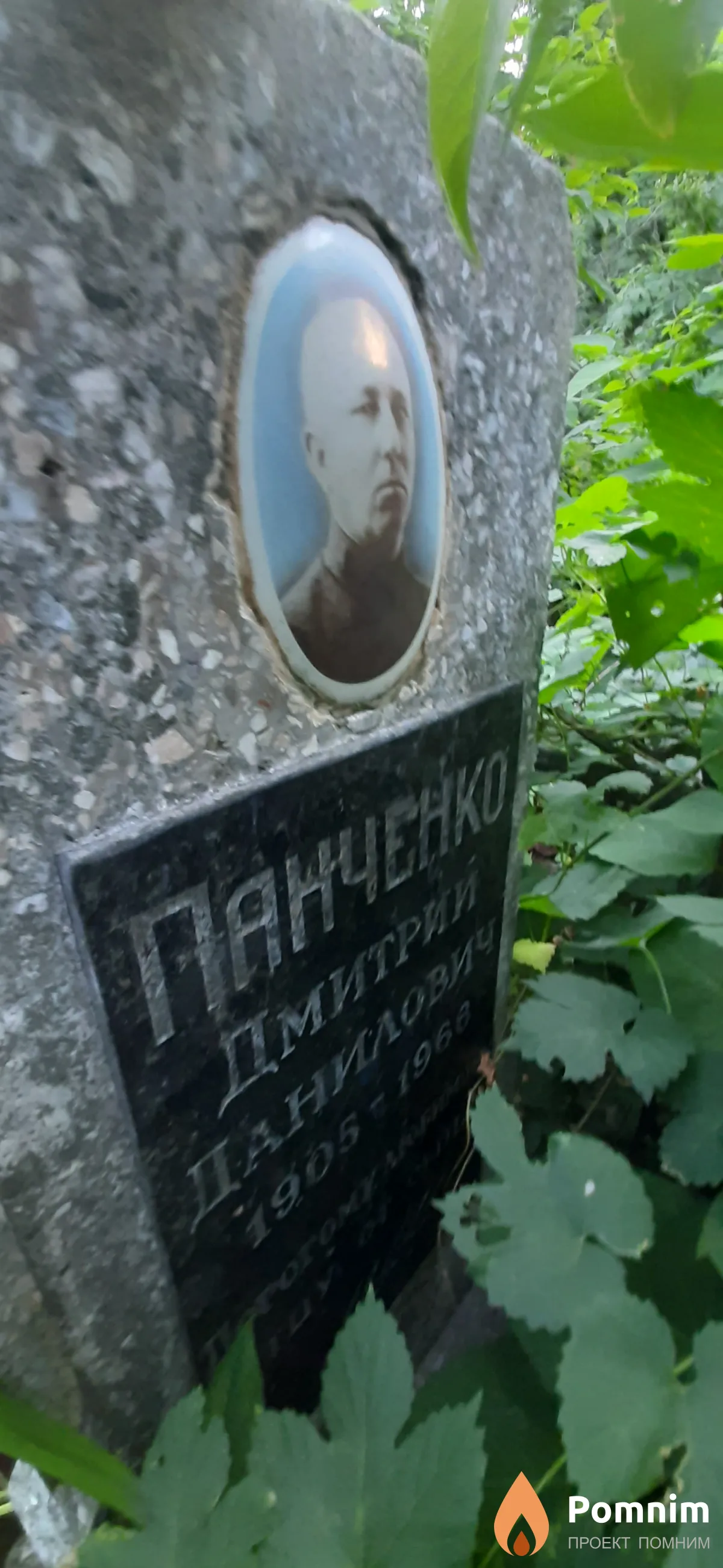Паняенко Дмитрий Данилович